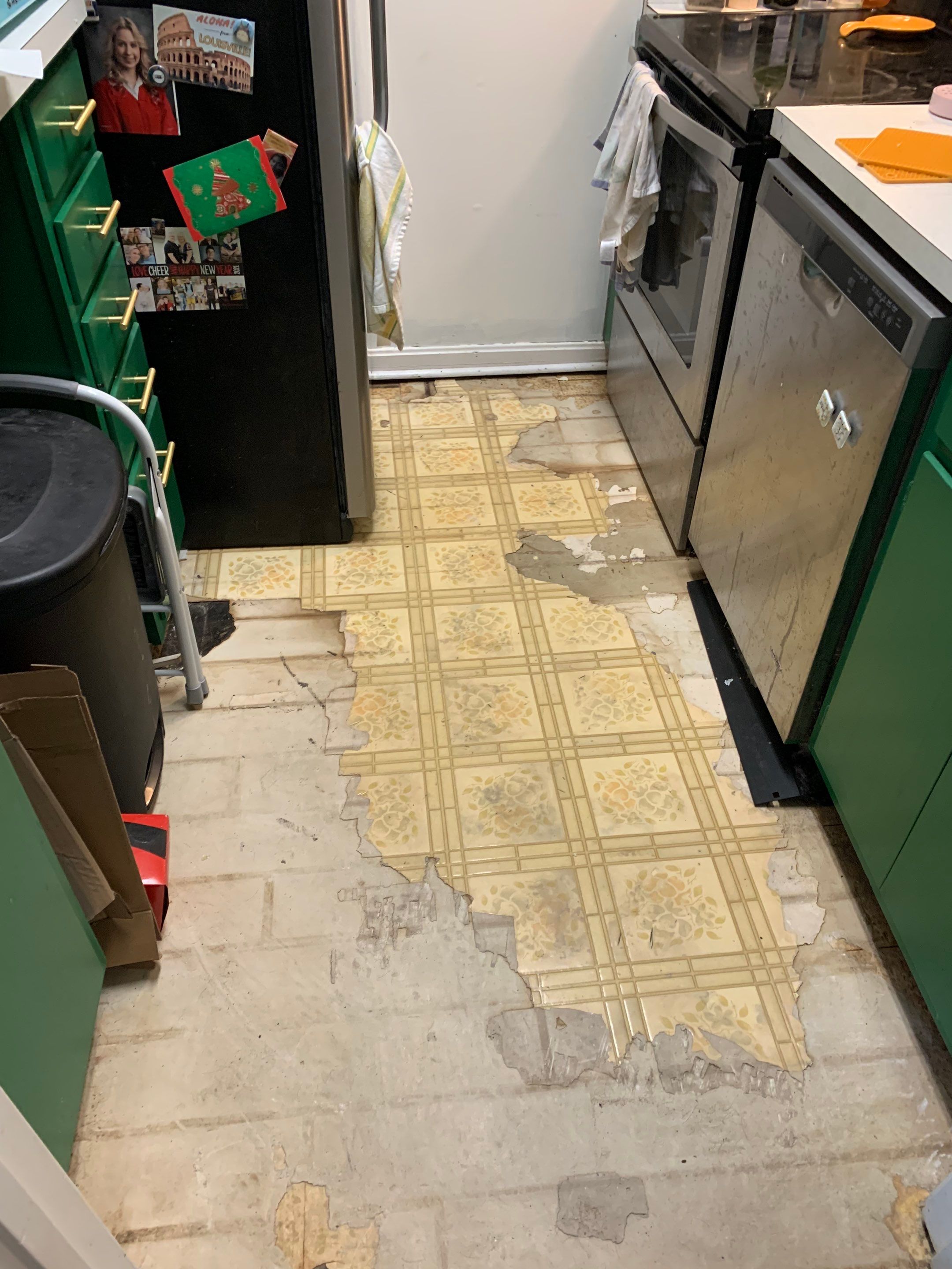 Water Mitigation and Interior Repairs After Damage by ANR Restoration