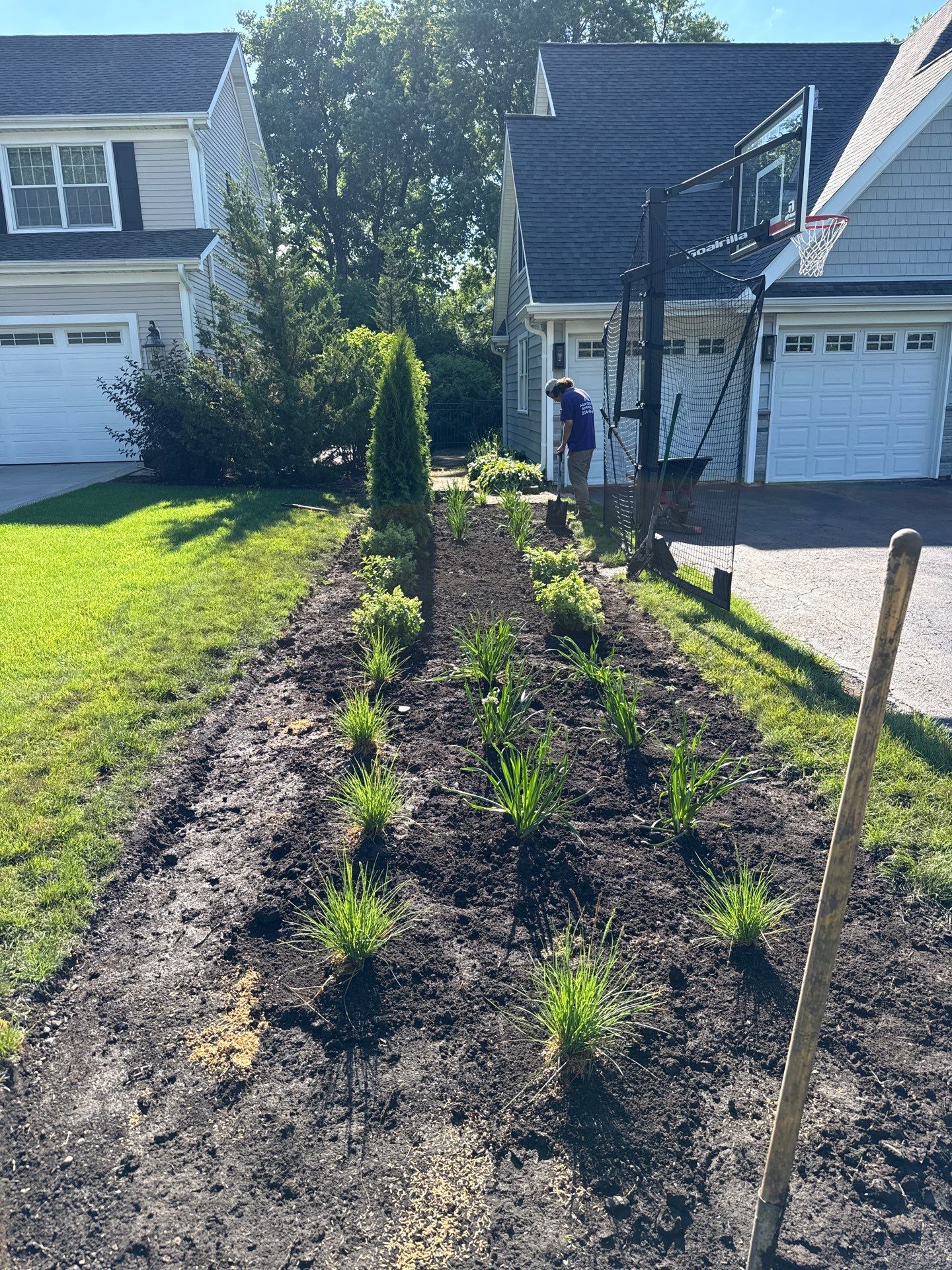 Anne P. - Arlington Heights, IL by A&N 