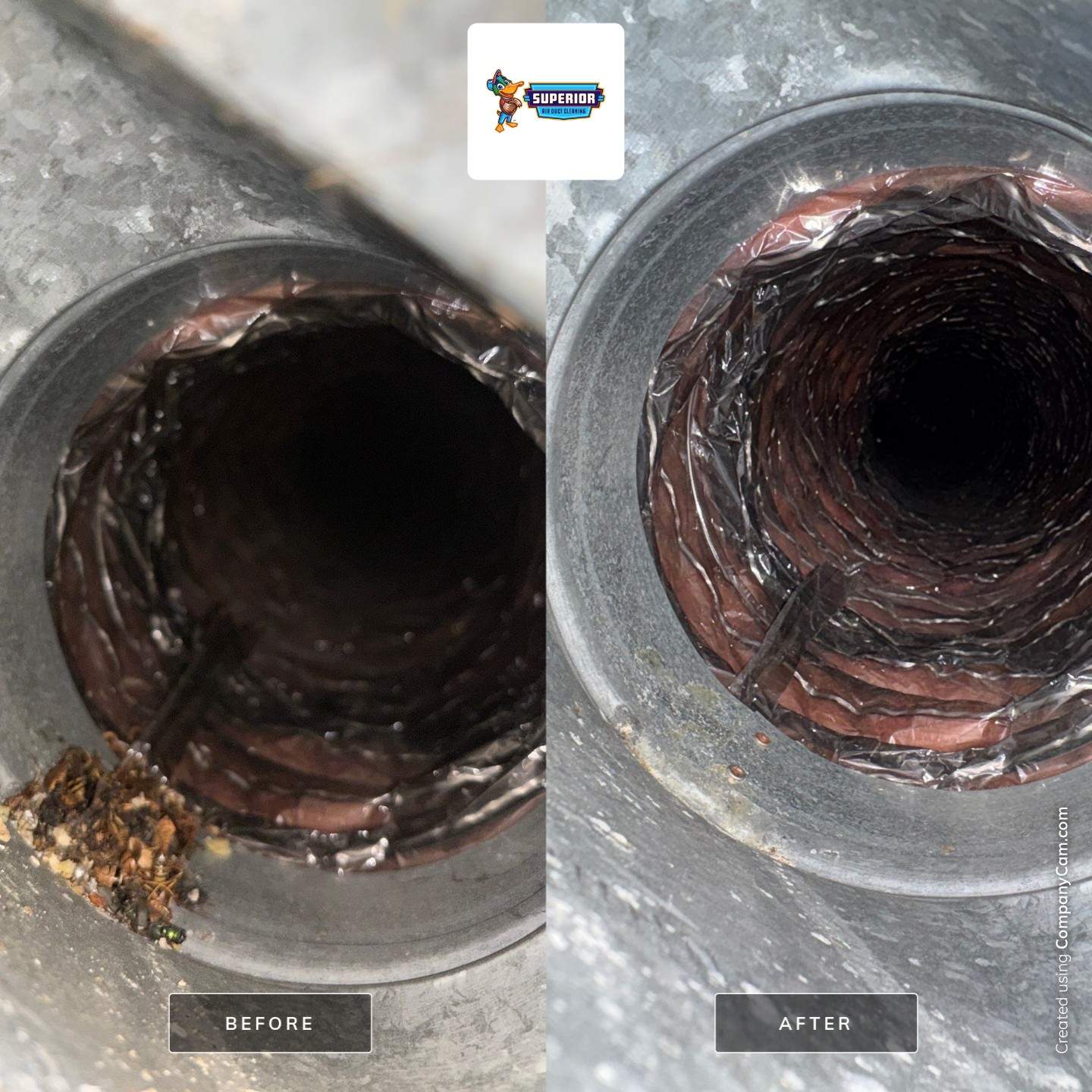 Air Duct Cleaning in Seven Fields, PA by Superior Air Duct Cleaning