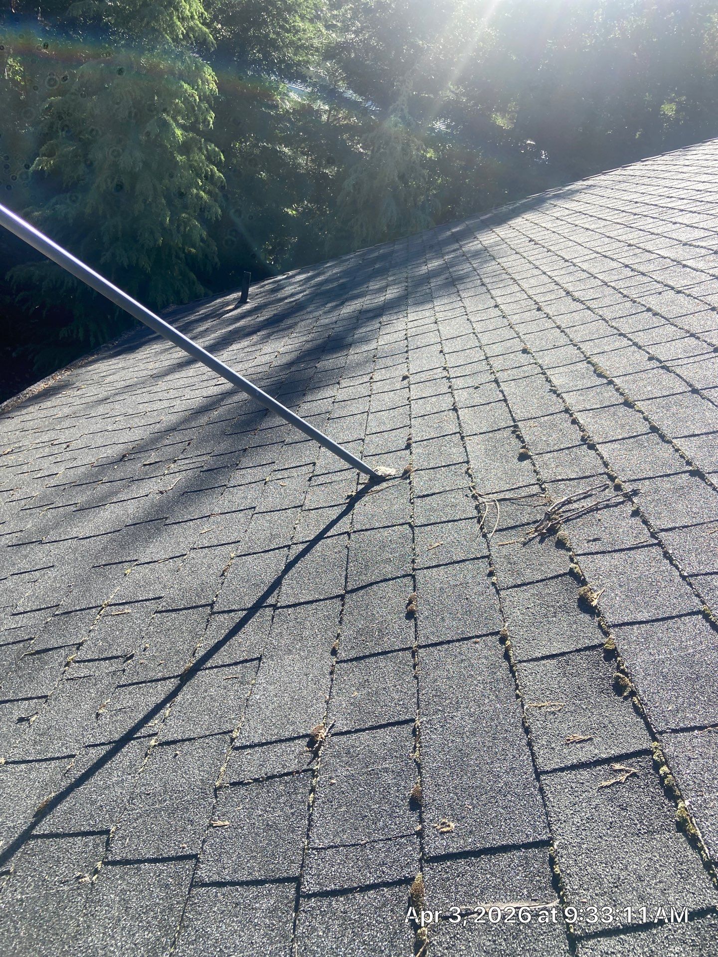 Roof Rejuvenation using Roof Maxx Treatment by Roof Maxx of Folsom