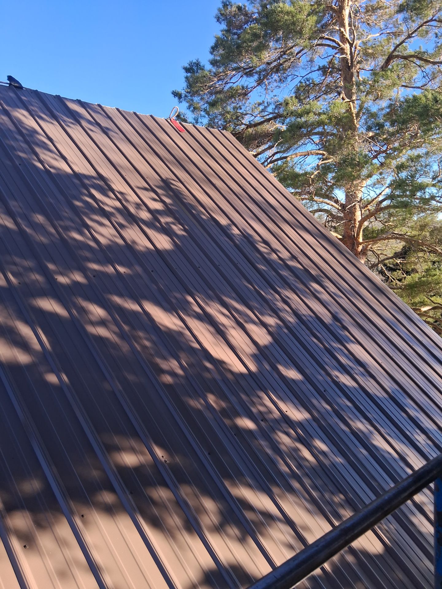 Project in Conrad by KQC Roofing
