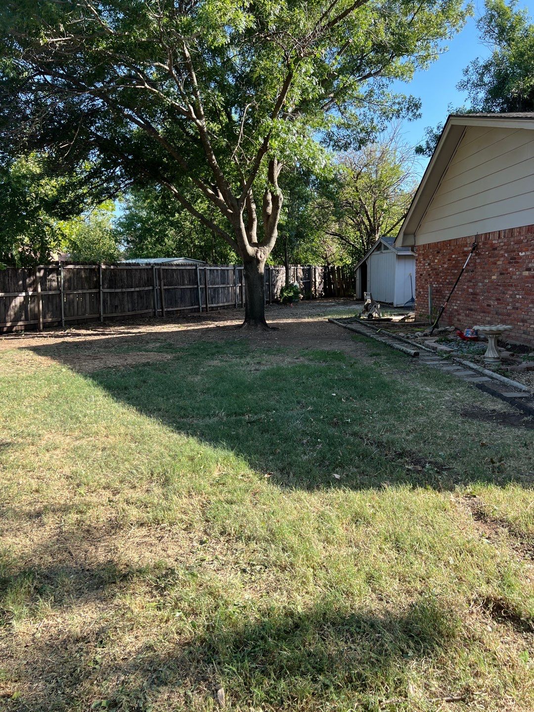 Tree Removals by Clays Services Inc
