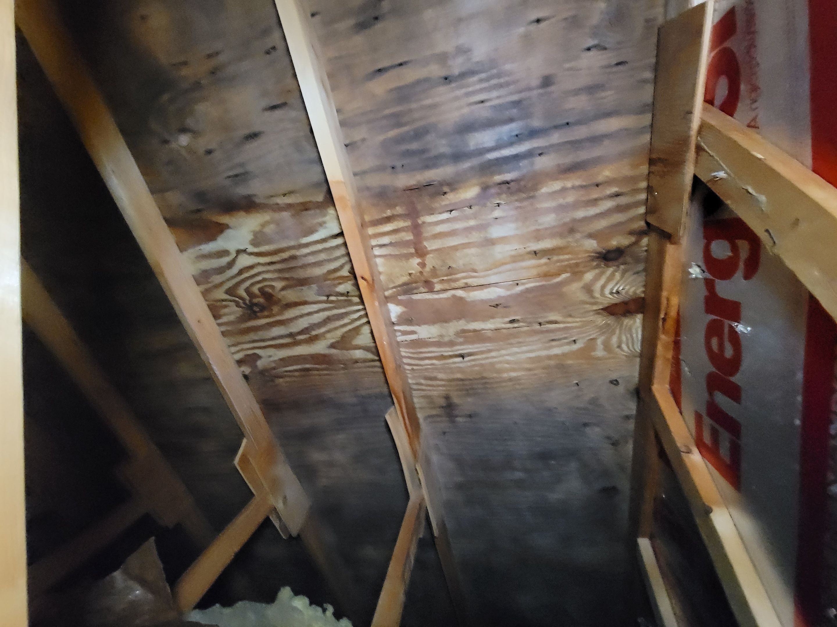 Attic Mold Remediation by Chicagoland Water Medics
