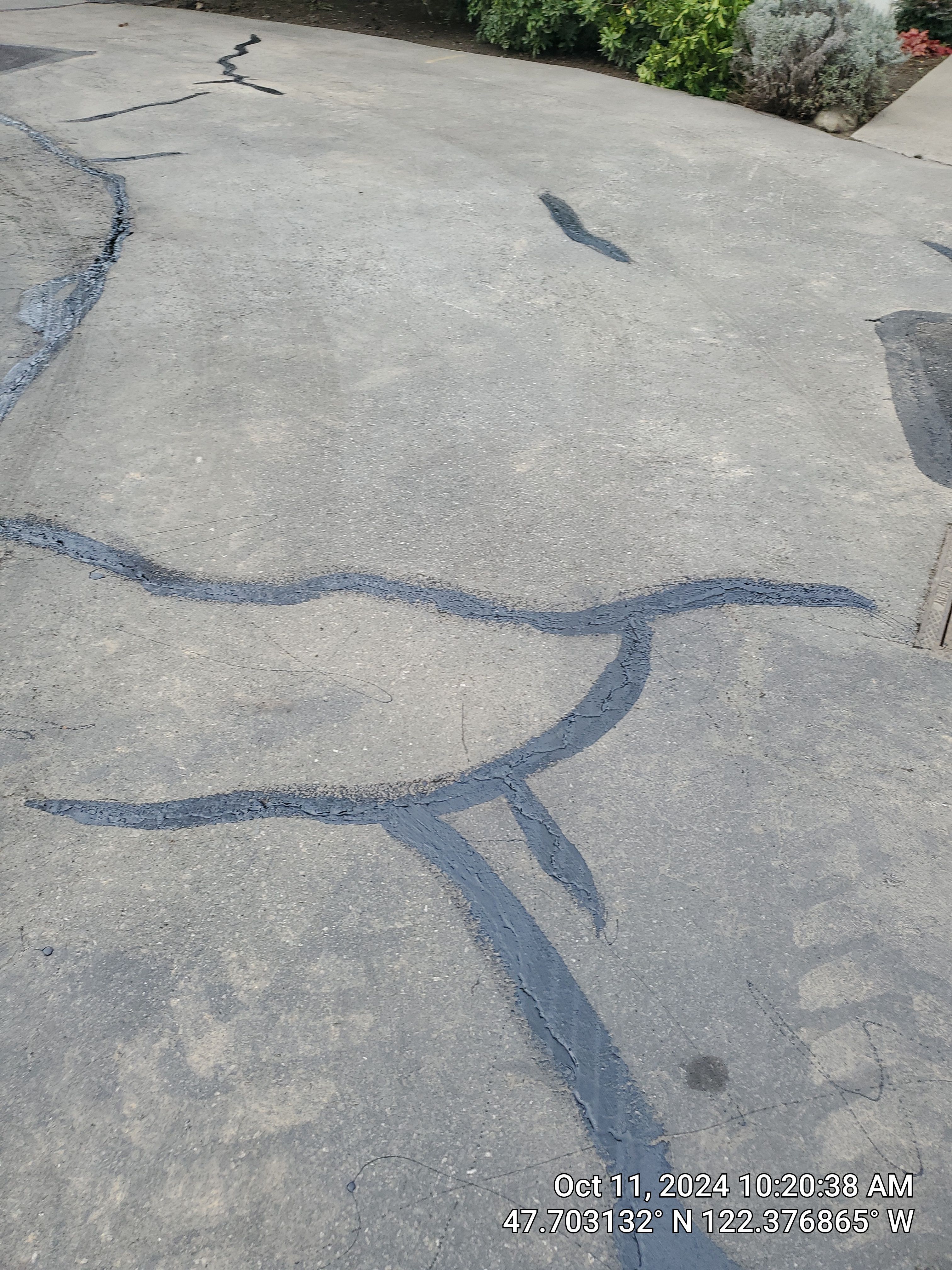 Asphalt Patch & Driveway Repair | Seattle  by Jireh Asphalt & Concrete Inc 