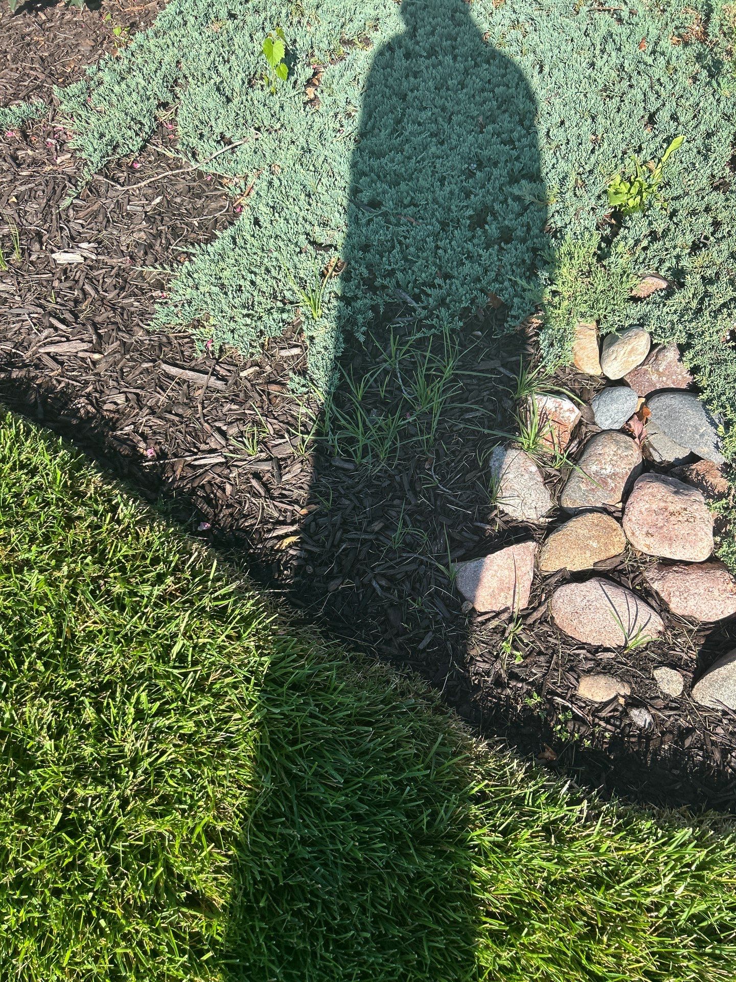 Custom Lawn QC visit  by Custom Lawn And Landscape