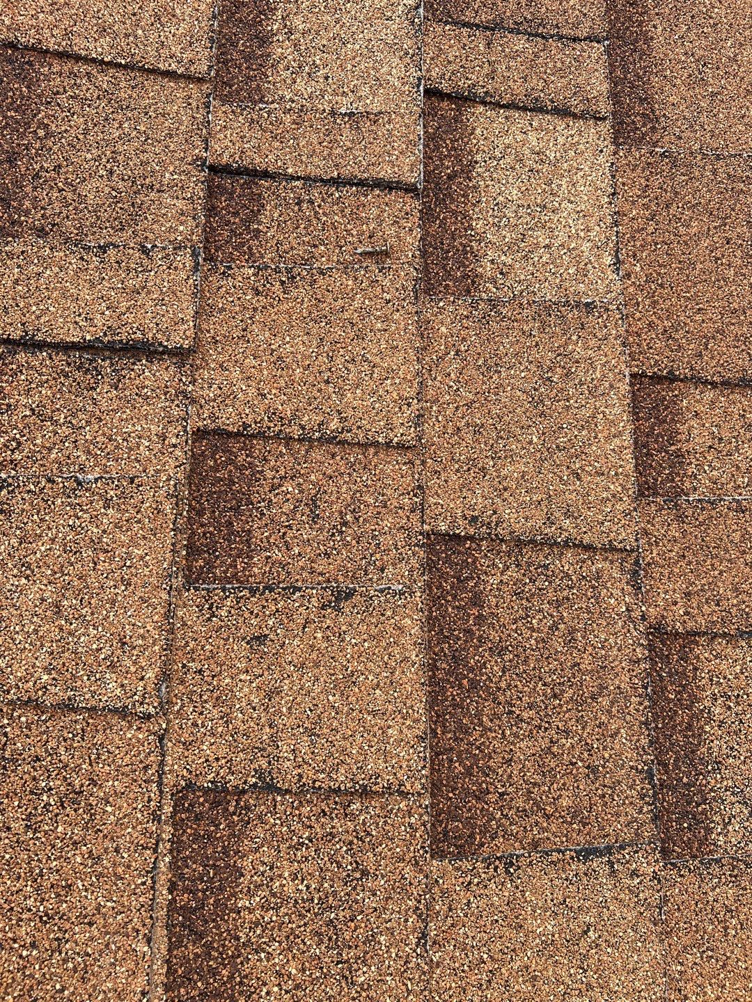 Jenna's Re-Roof and Ridge Vents by All Storm Roofing & Construction