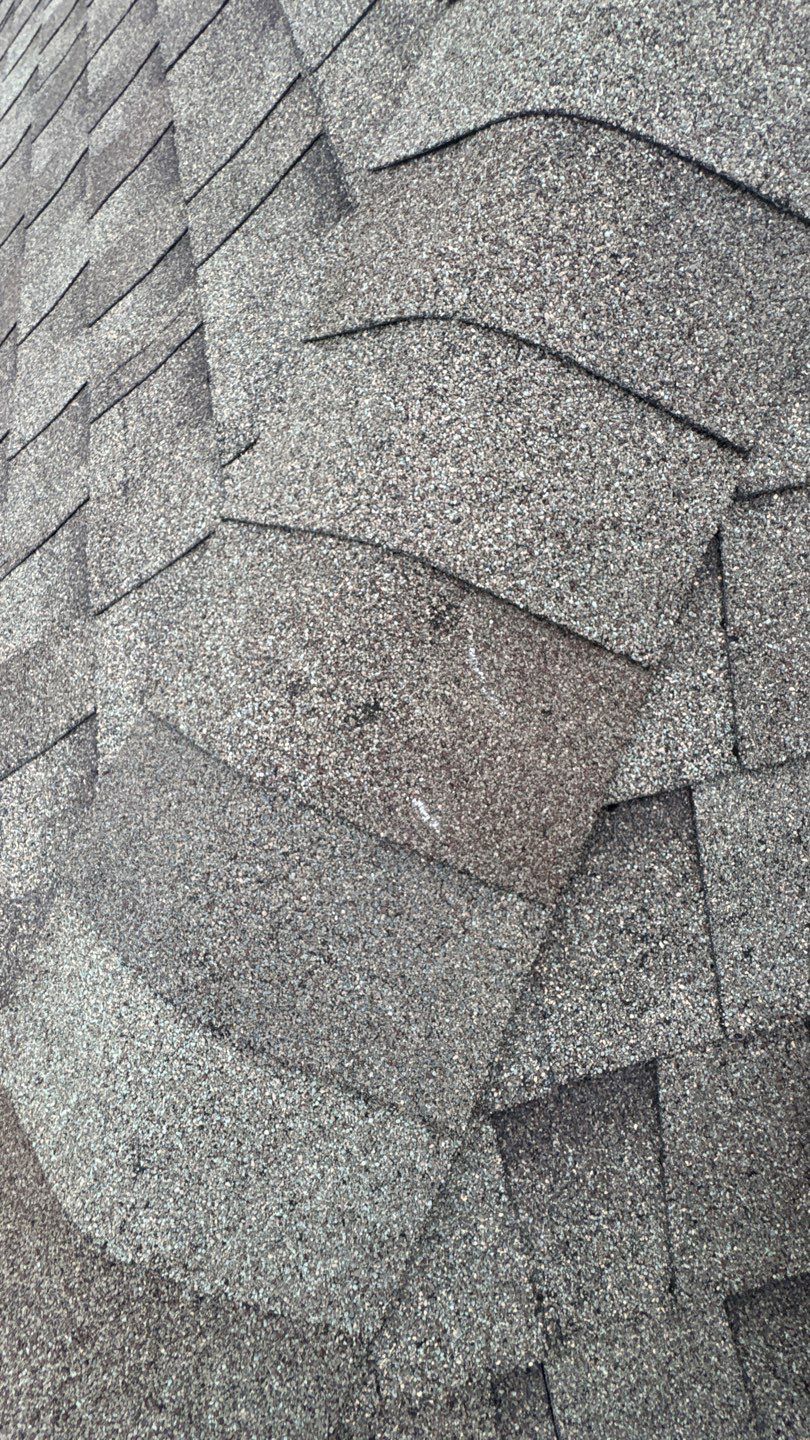 Franky Inspection by Boss Hogg Roofing