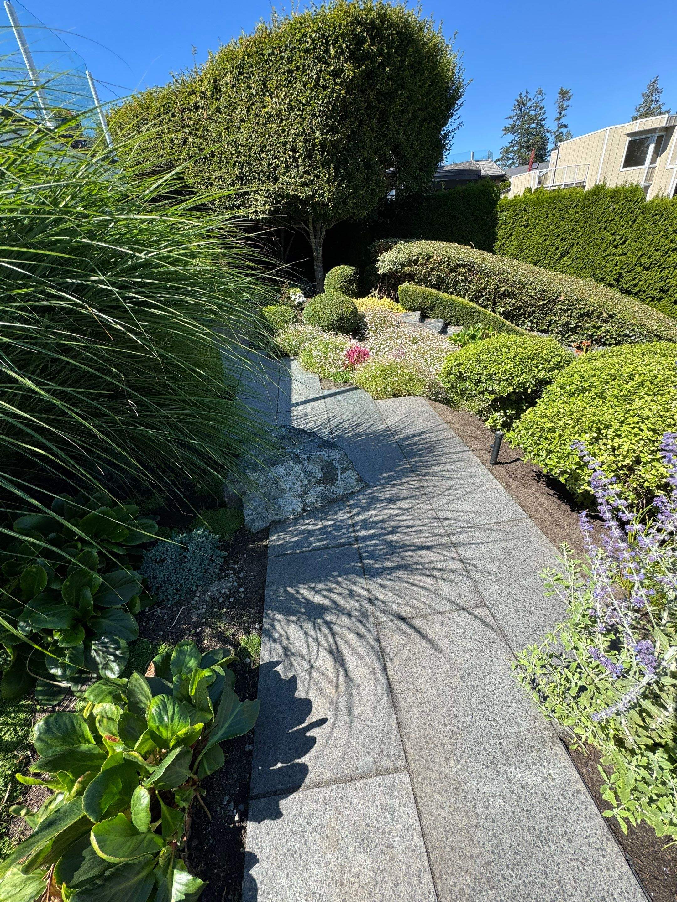 Cordova Bay Residence by Habanero Garden and Exterior Care