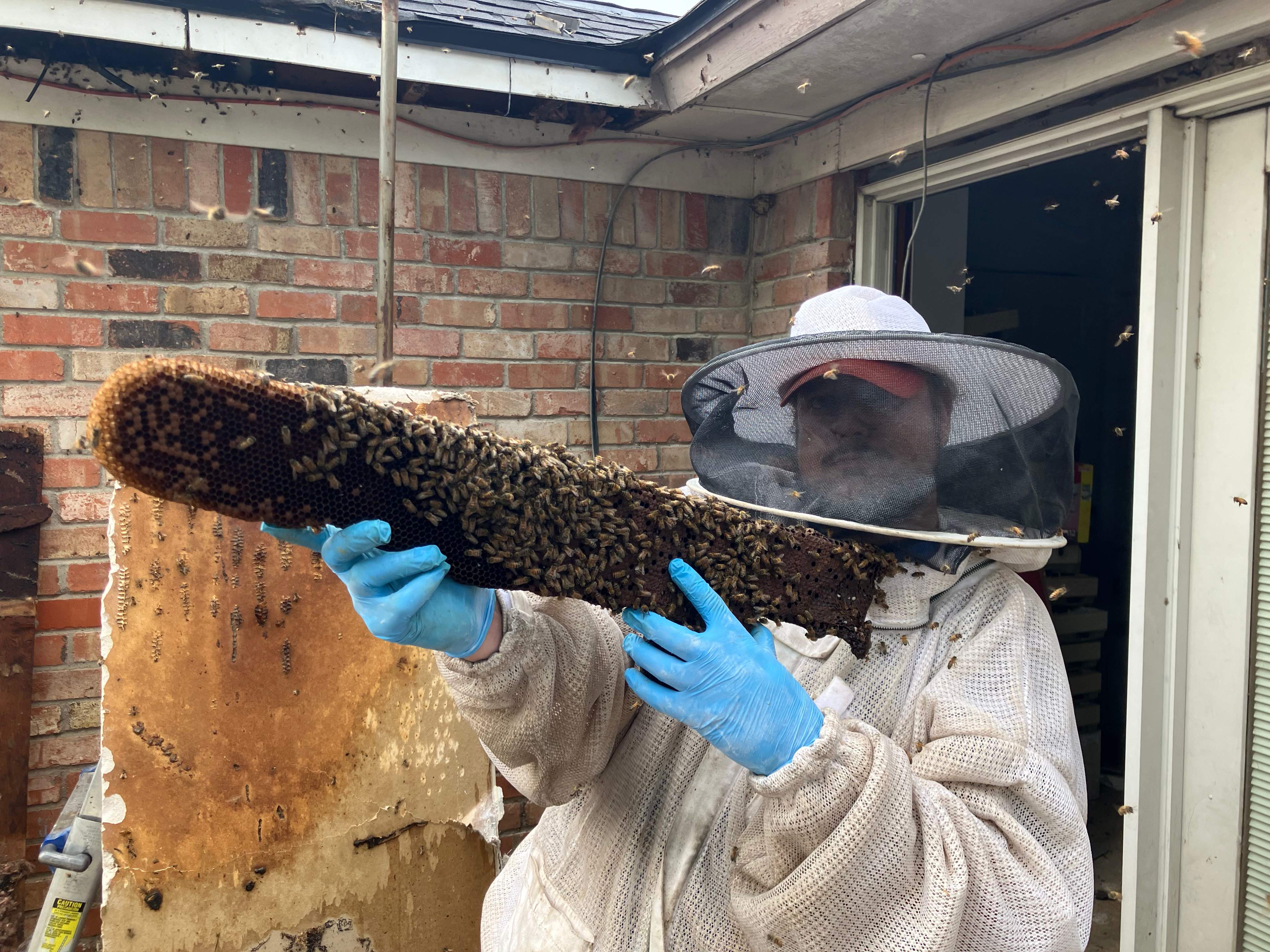 Improper Repair by Rockwall Honey Bee Company