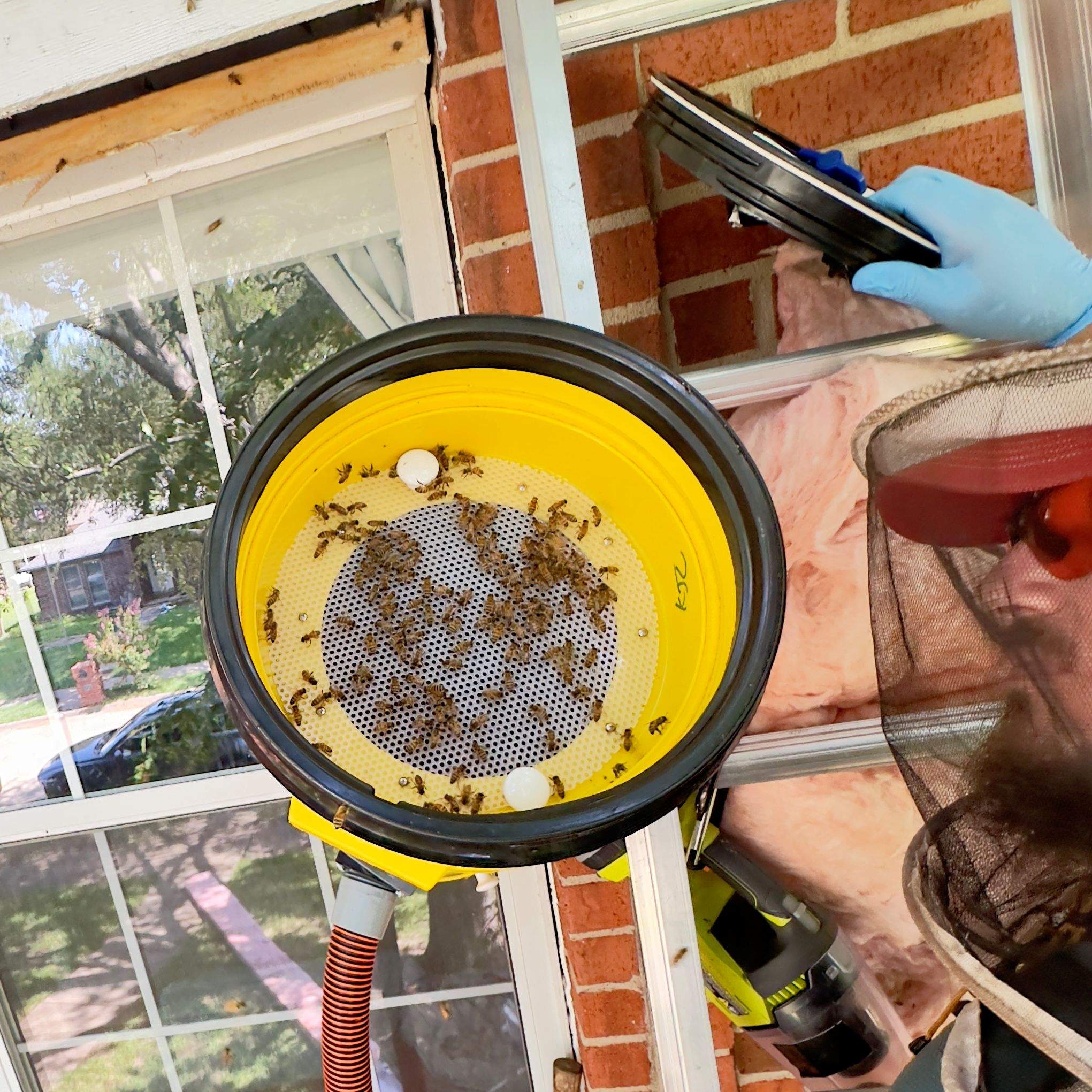 Pest Control Operator Referral by Rockwall Honey Bee Company