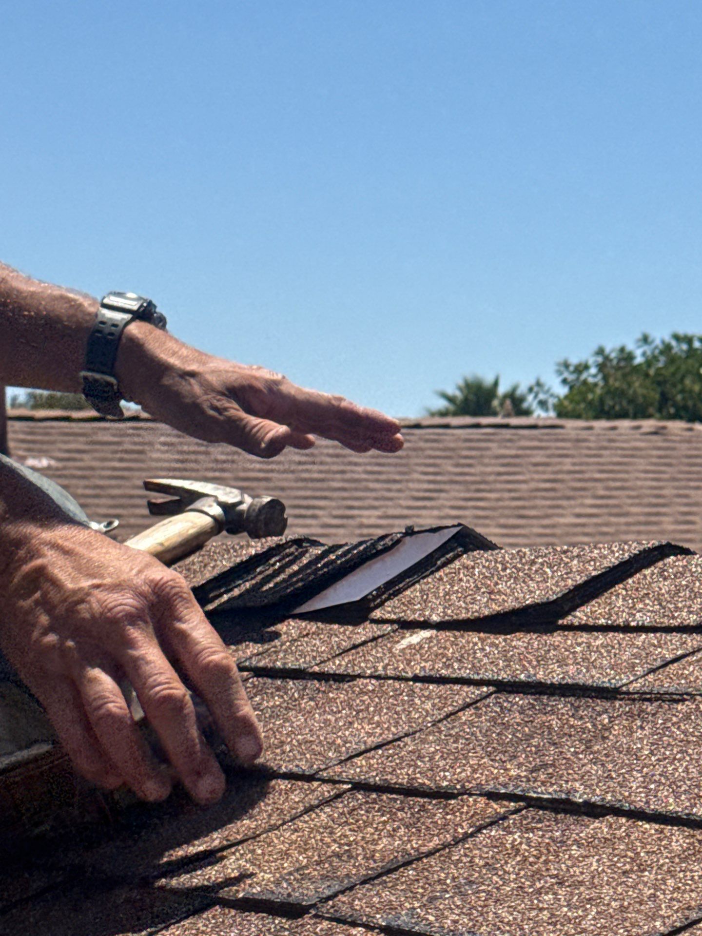 Asphalt Shingle Roof Rejuvenation and Vent Sealing in San Diego by Reliable Roofing San Diego Inc.