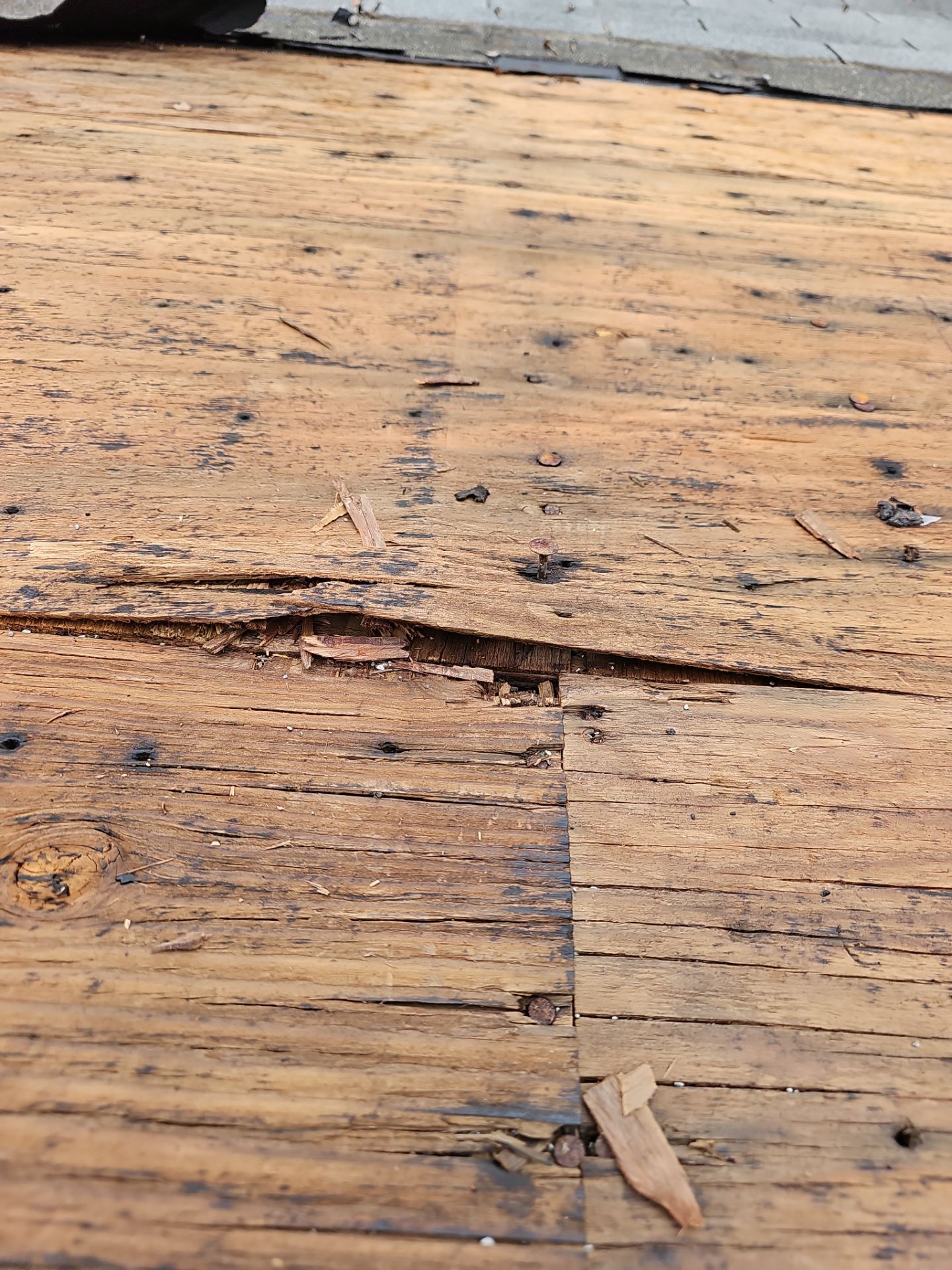 Residential Roofing Installation using Tamko Titan XT - Virginia Slate by A Plus Exterior