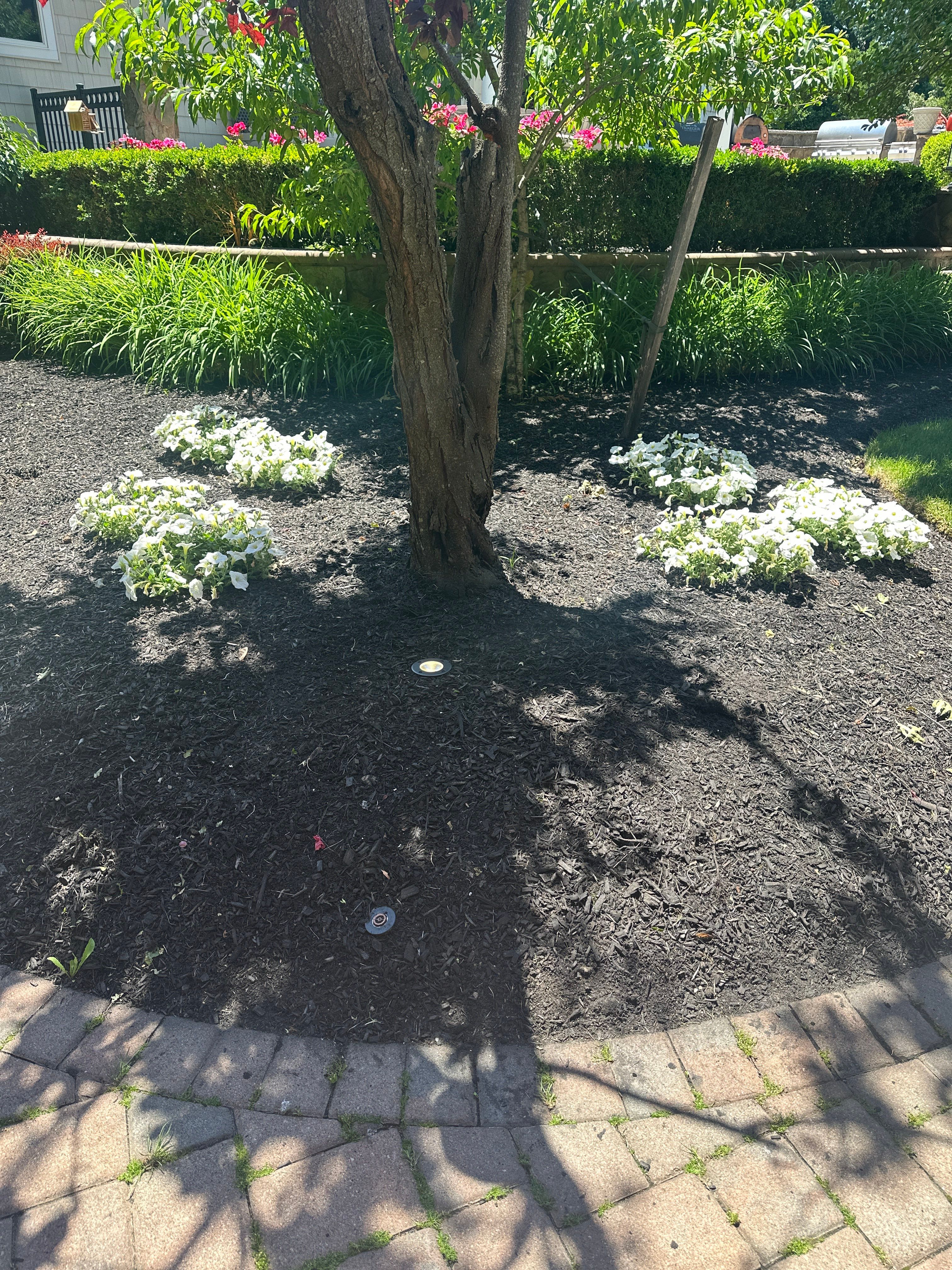 Landscape Lighting by Spartan Home Pros