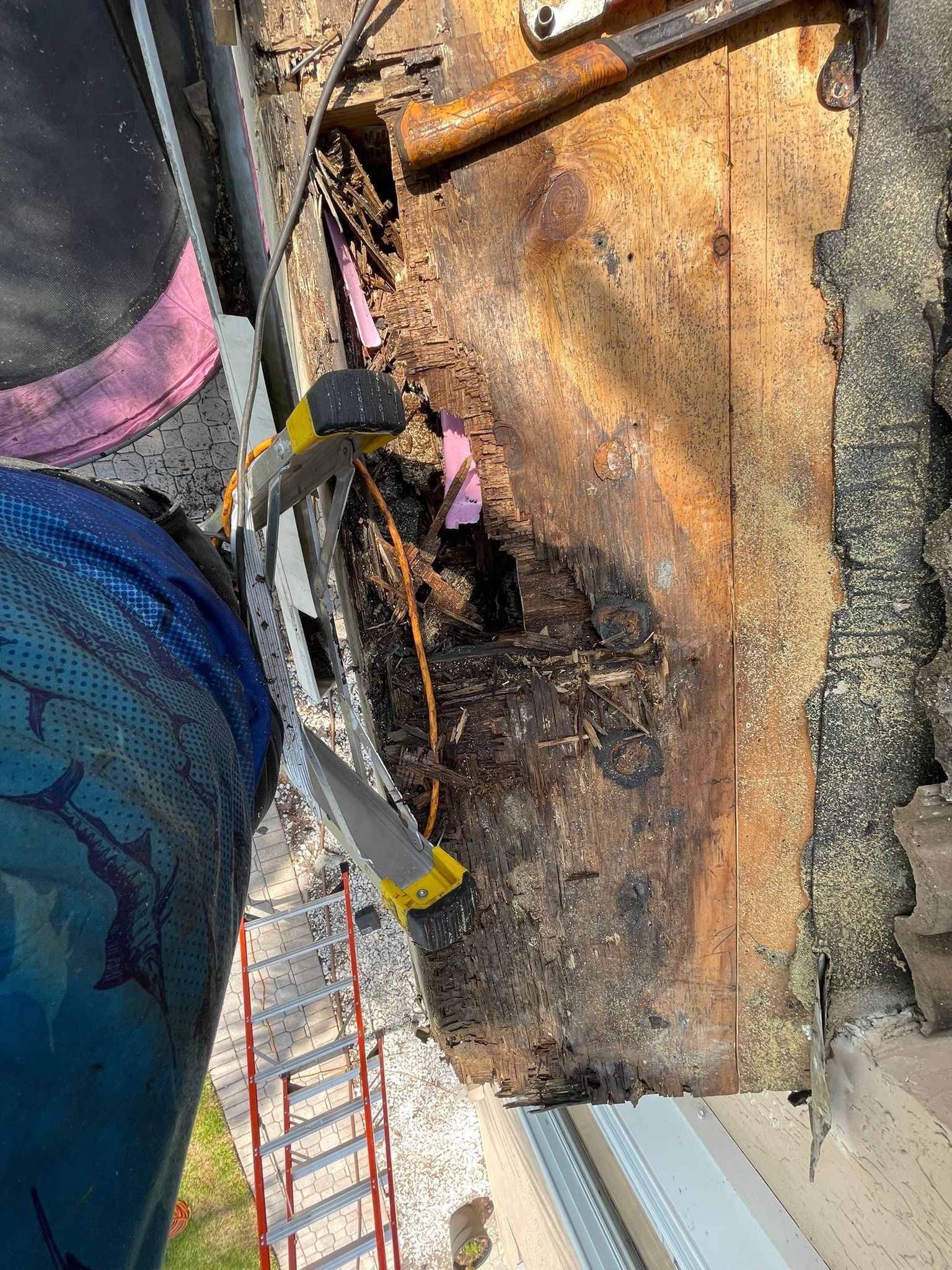 Roof repair due to bird-related damage by The Goat Contractor ( Giampri Corp)