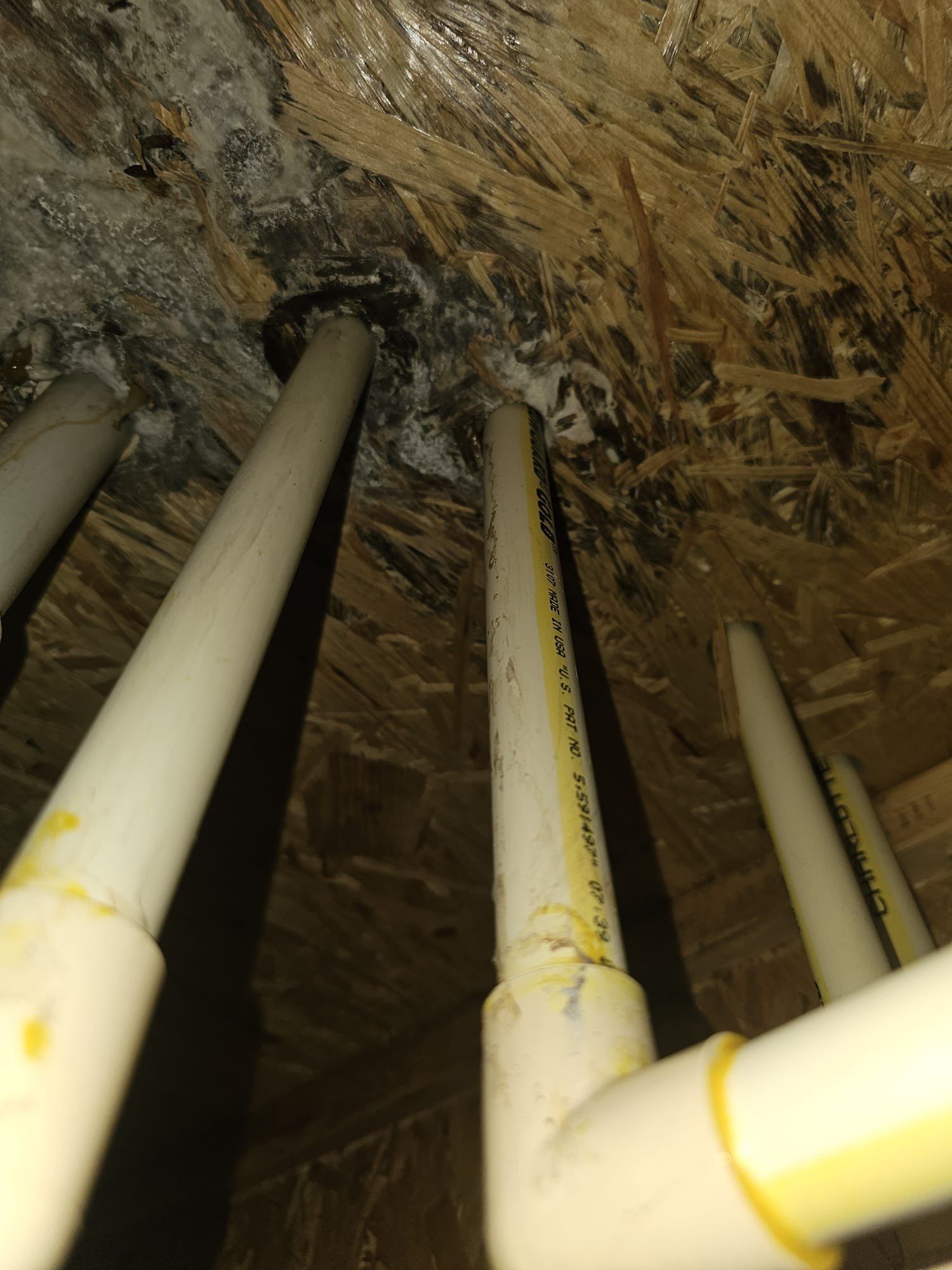 Leak pot water heater by Restoration services