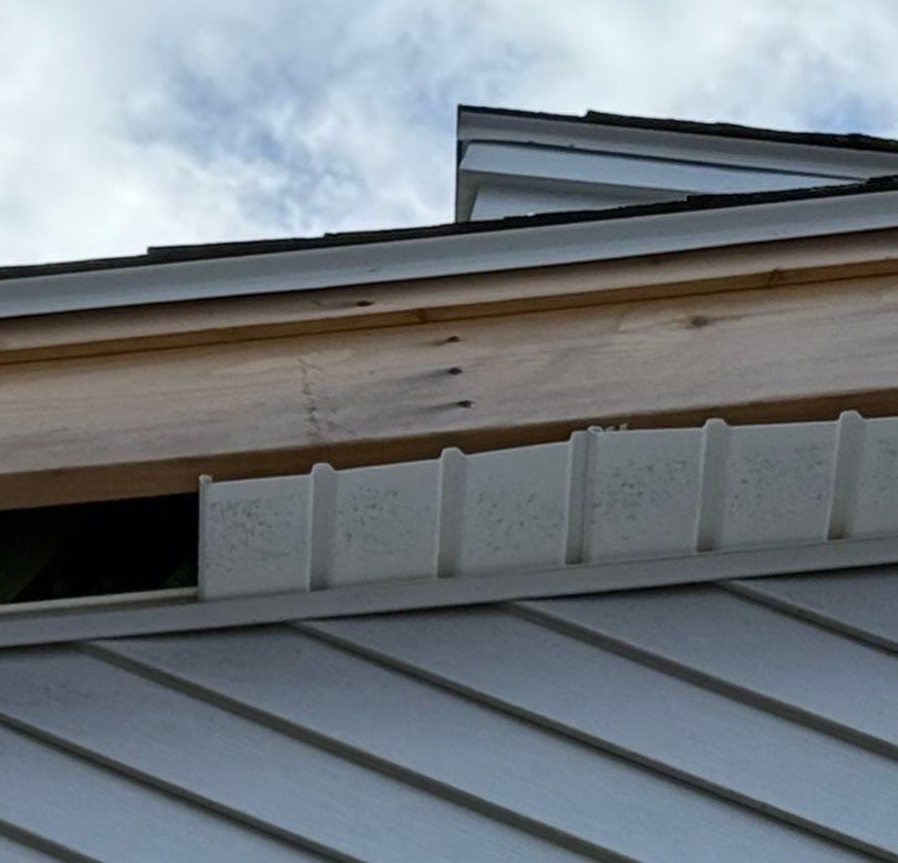 d by Mighty Dog Roofing of Greater Middlesex County