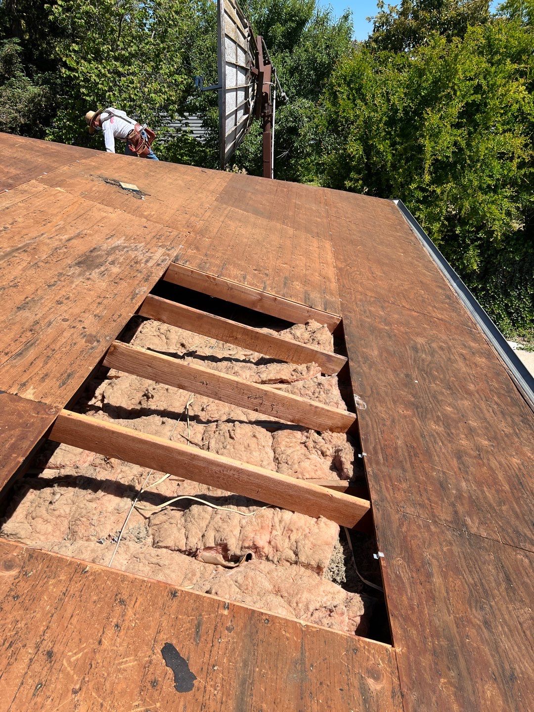 GAF Timberline HDZ-RS shingle project by Straight Edge Roofing Inc
