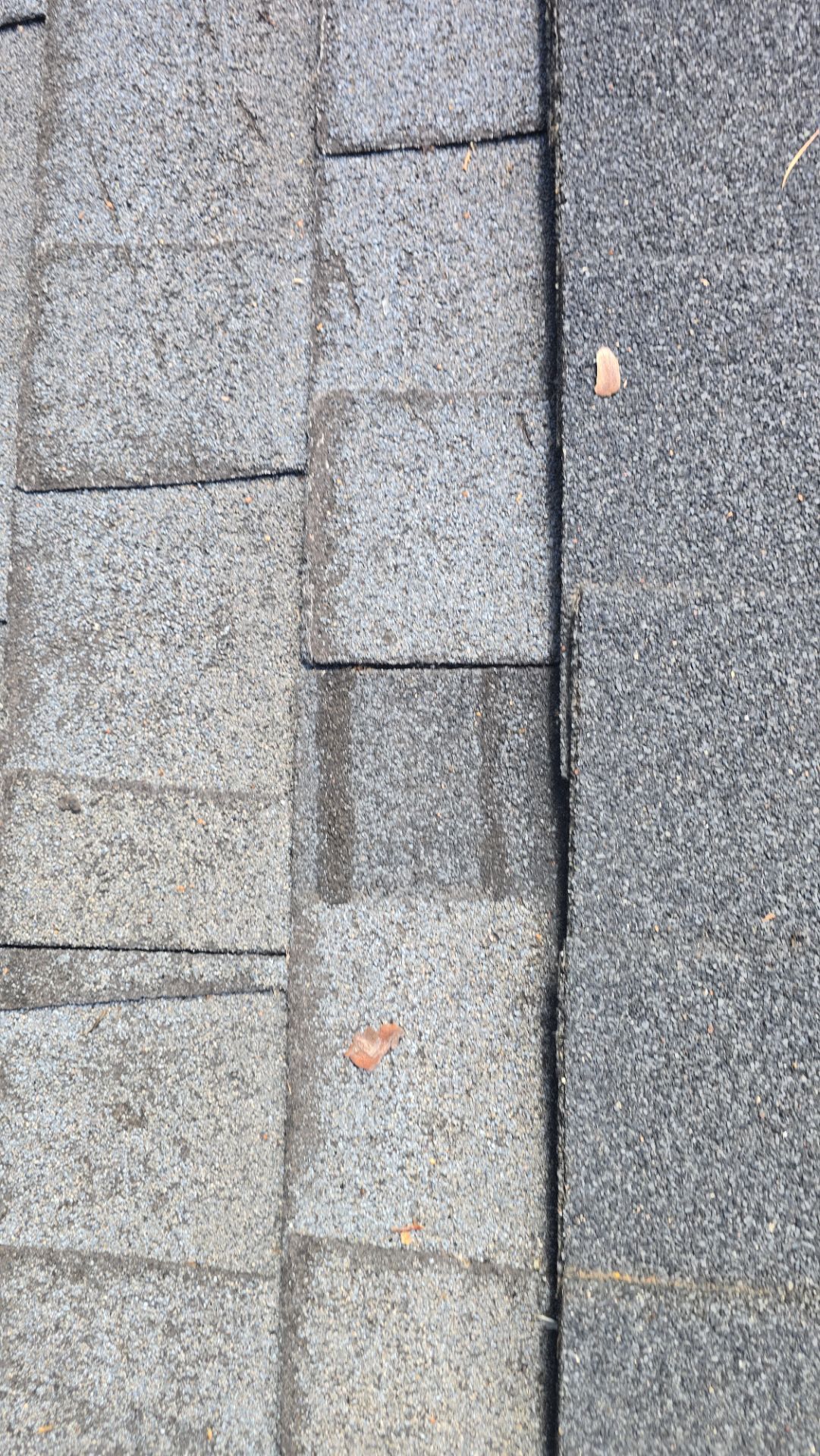 Roof Rejuvenation using Roof Maxx Treatment by Roof Maxx of Folsom