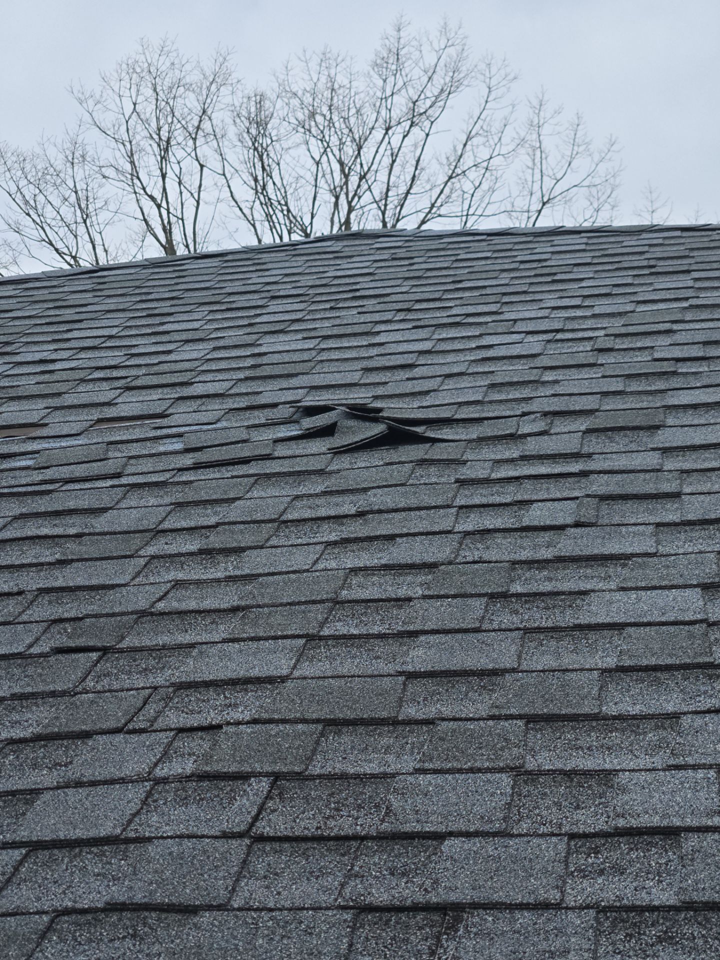 Country Home with a New life by Level Up Roofing and Restoration Services LLC