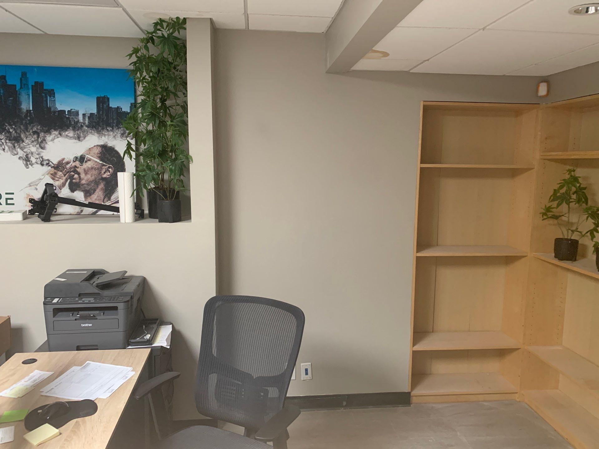 Drywall Remodel  by Crown Royalty Management 