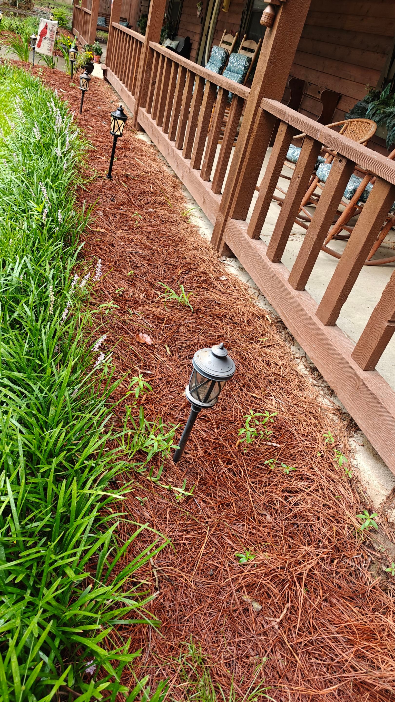Weekly Landscaping  by College Bros Outdoor services
