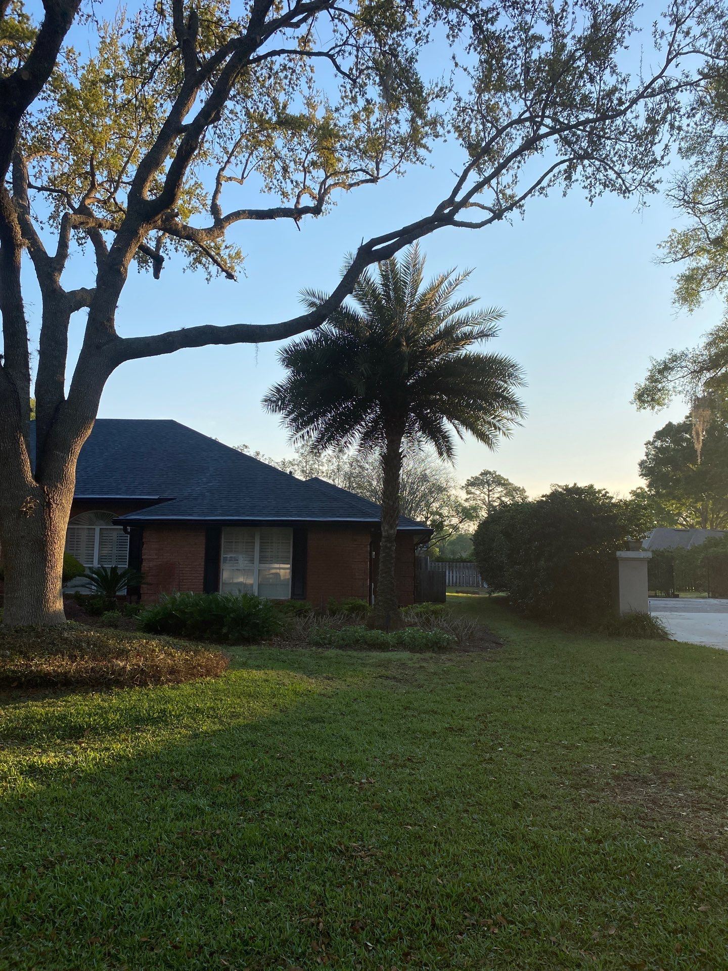 Deerwood Resident | Tree Service by ProGreen Services