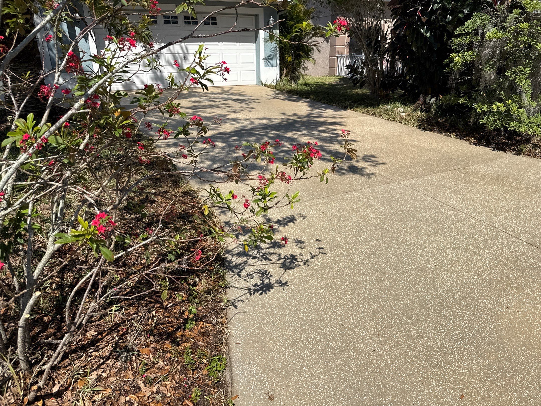 Concrete Driveway, Entryway & Street Curbing Cleaning | Foster’s Creek Community | Palmetto, FL by Sunshine AquaWash