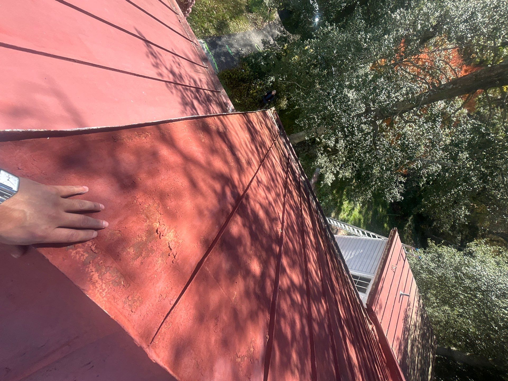 Alexandra: Residential Metal Roofing  by RM Banning, Inc.