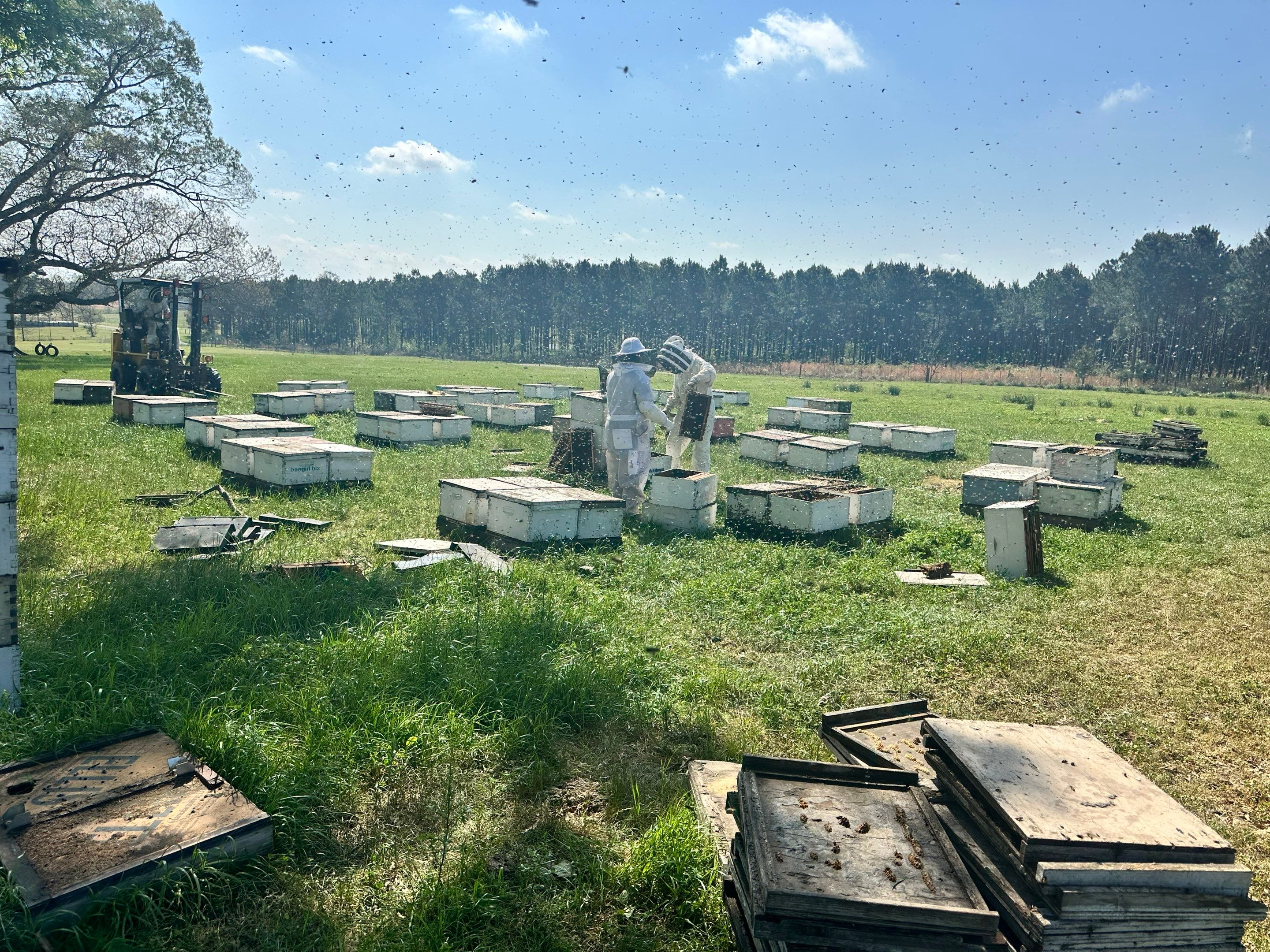 Peanut Farm Apiary by Rockwall Honey Bee Company
