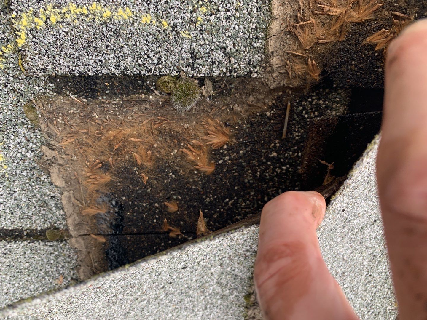 Star Idaho Single level roofing replacement using Duration Brownwood by ID Roofing LLC