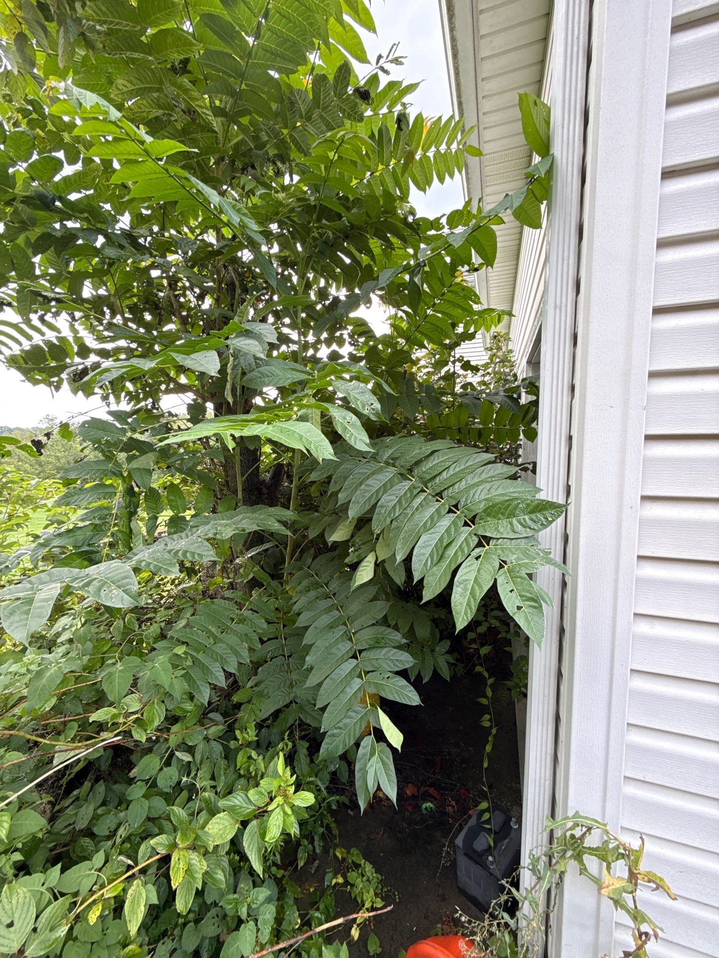 Residential Dryer Vent Cleaning and Lint Removal in New Brighton, PA by Superior Air Duct Cleaning