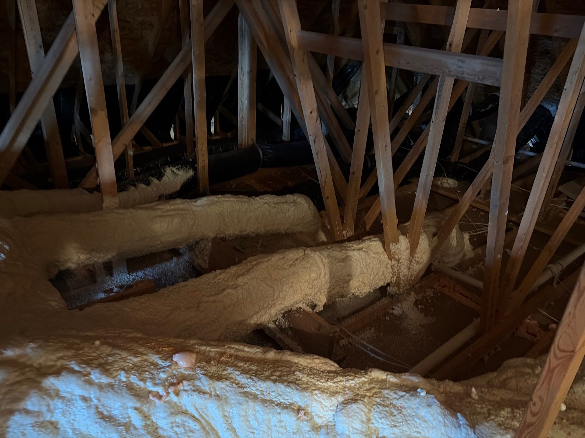 Sanitizing and Transforming a 2,100 sq ft Attic for a Better Home Performance by Home Environment Solutions