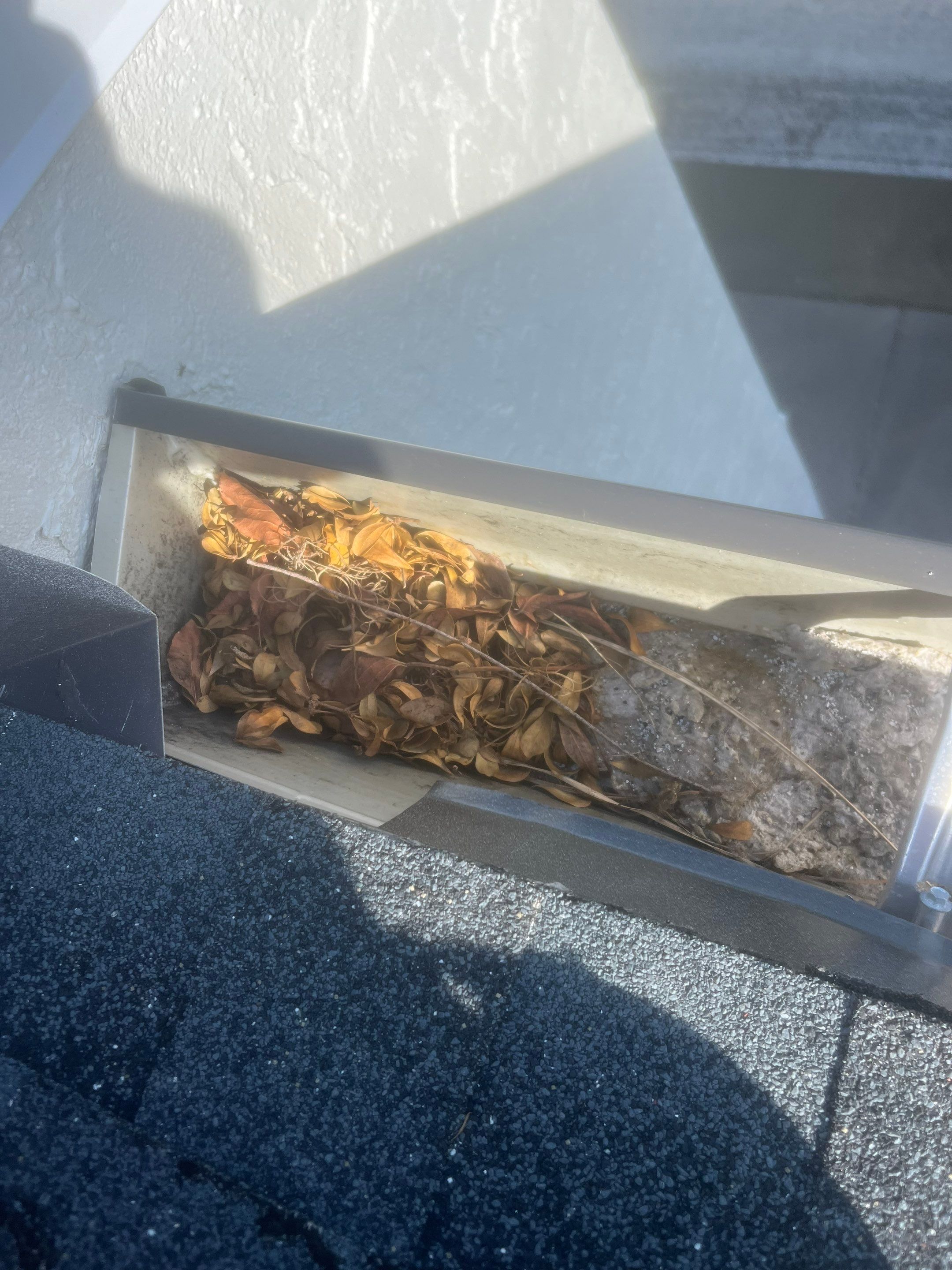 Professional Gutter Cleaning in Fort Myers FL by Gutter Professors