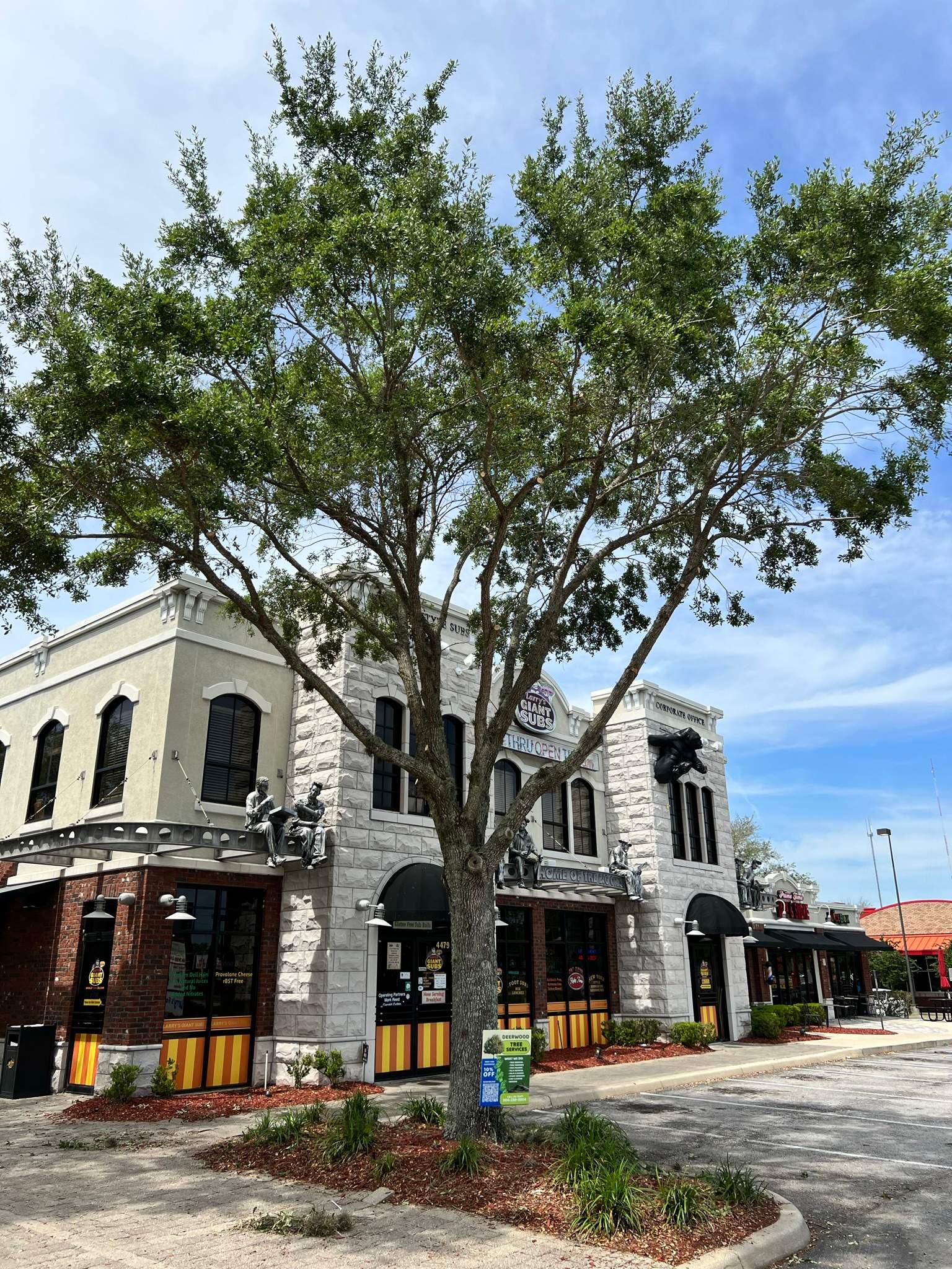 Tree Trimming | Larry's Giant Subs by ProGreen Services