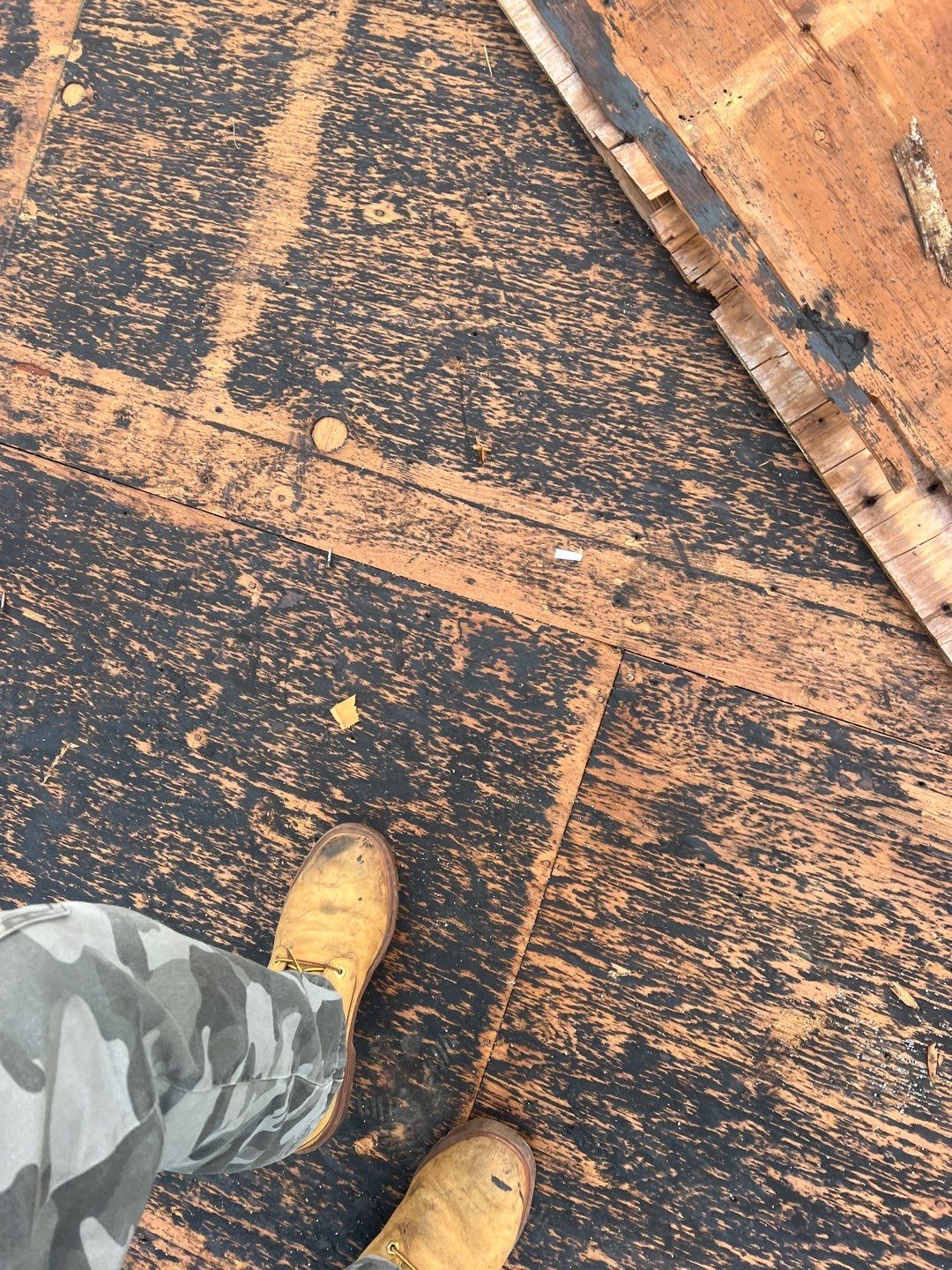 Project in St. Petersburg 33705 by Mitchell Roofing Company LLC 