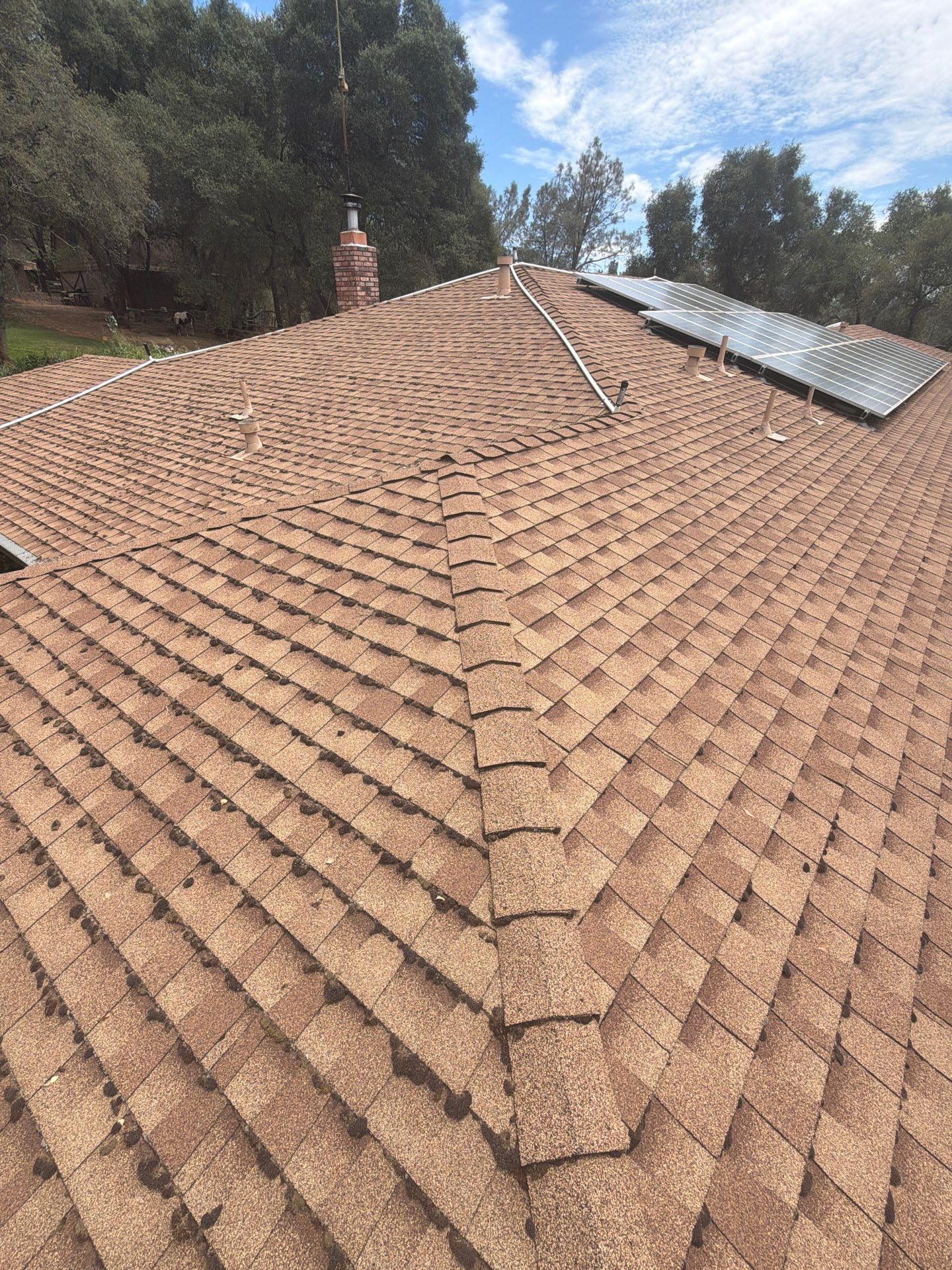 Roof Rejuvenation using Roof Maxx Treatment by Roof Maxx of Folsom