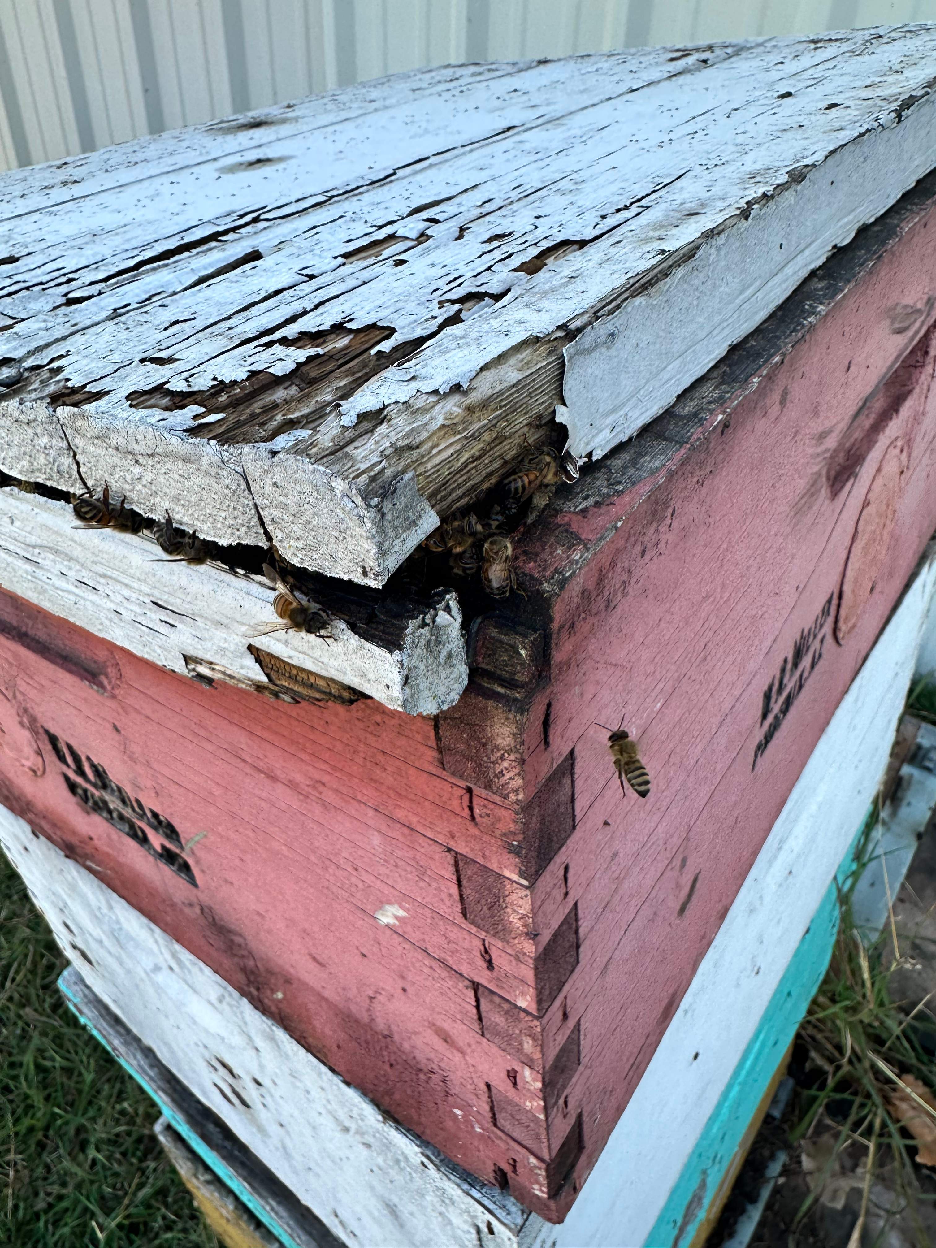 Rockwall Honey Bee Company HQ by Rockwall Honey Bee Company