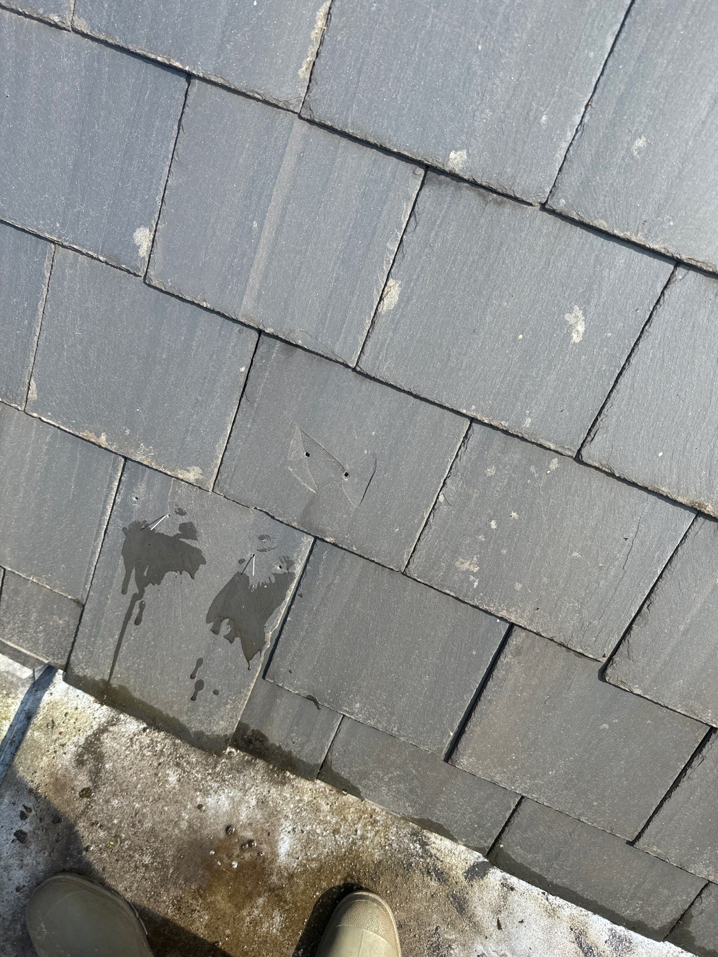 Roof and Patio Cleaning using Honda 15lpm Low Pressure Washing Machine by Ges Exterior Cleaning ltd