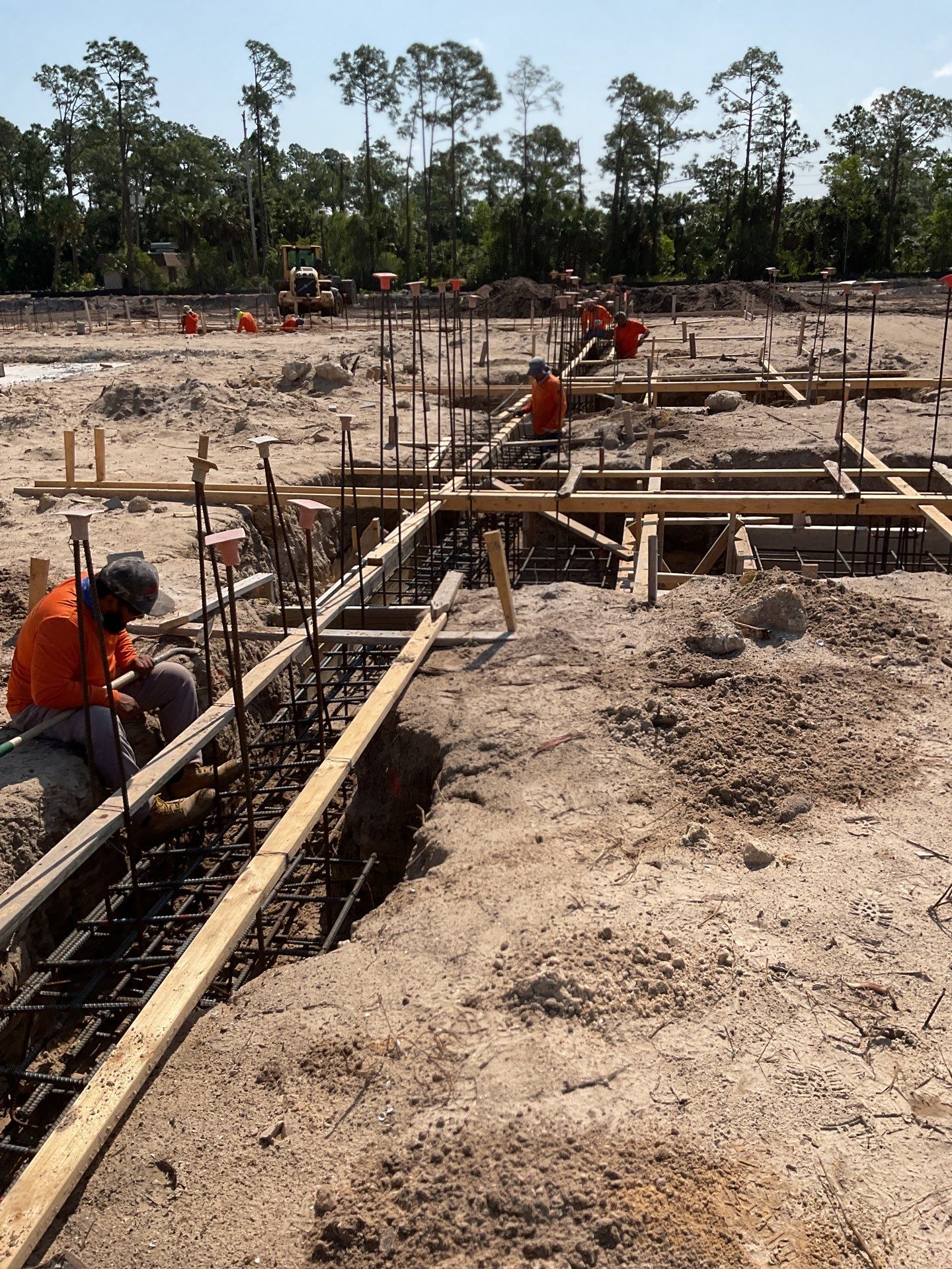 TRACTOR SUPPLY NAPLES by Southern Gulf Construction