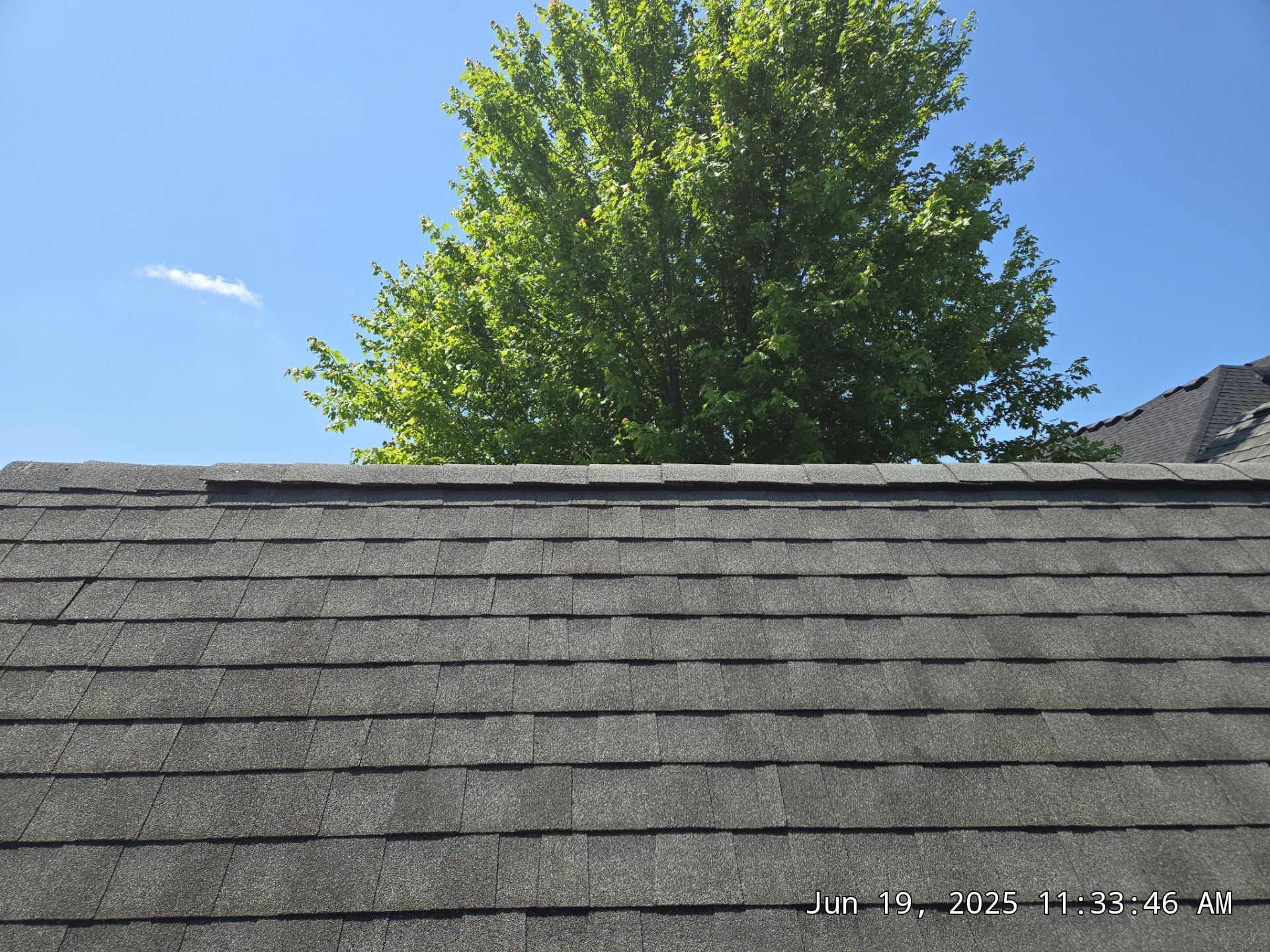 Roof Replacement by Sieren Roofing Services 