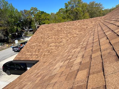 Shingle -> Shingle