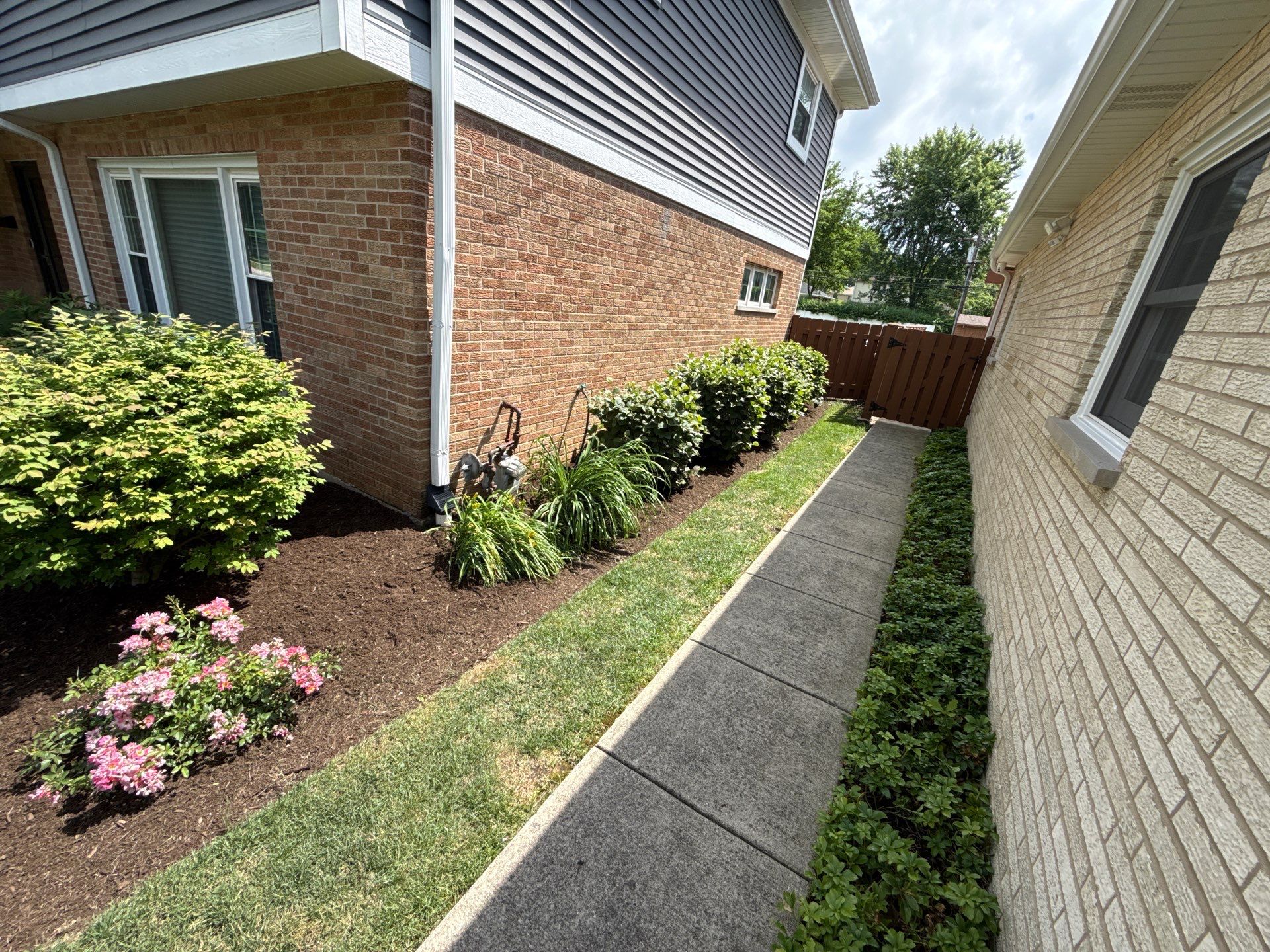 Clay U. - Arlington Heights, IL by A&N 
