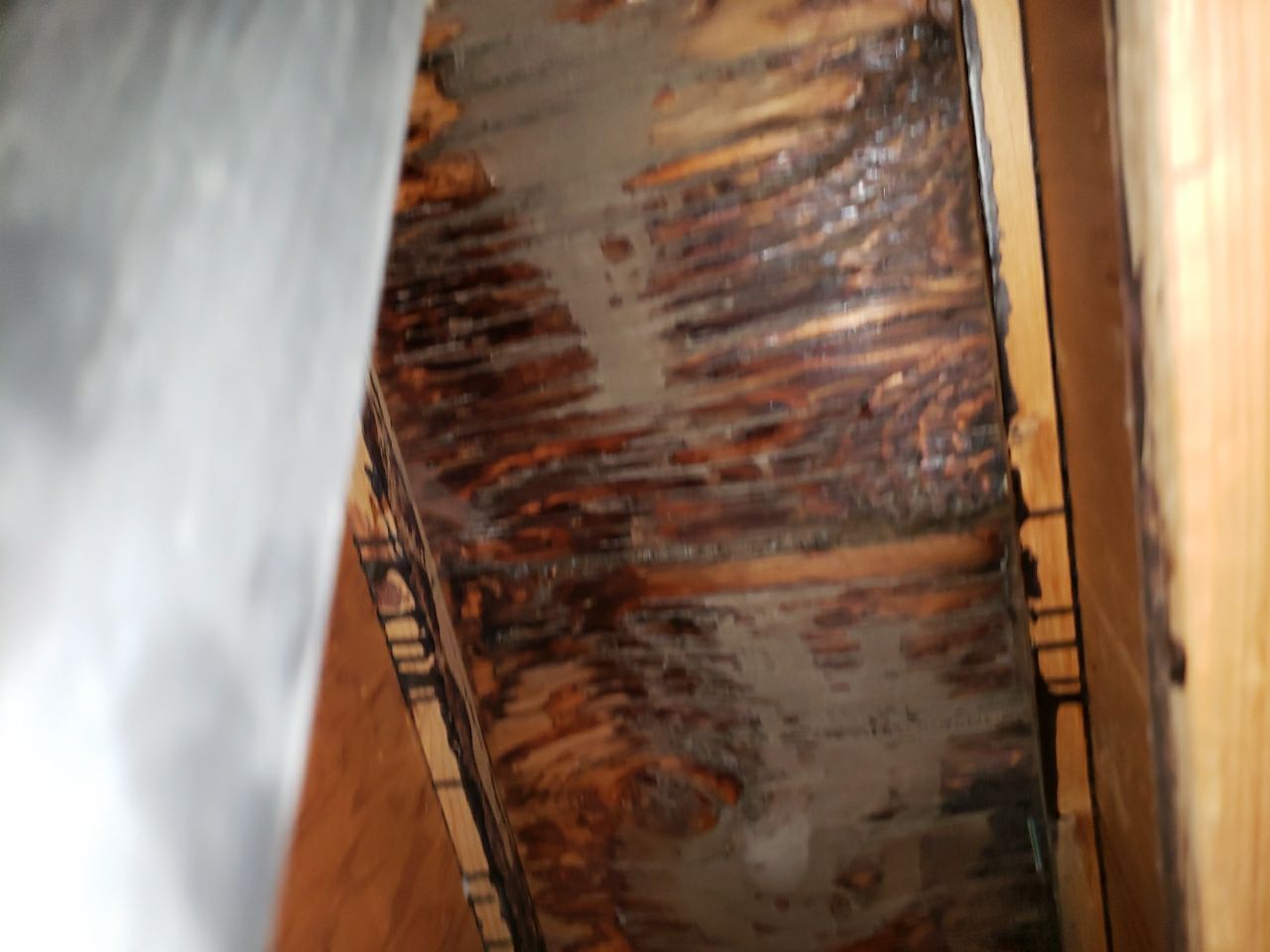 Residential Roofing Repair using Concrete Tile by The Roof Doctor