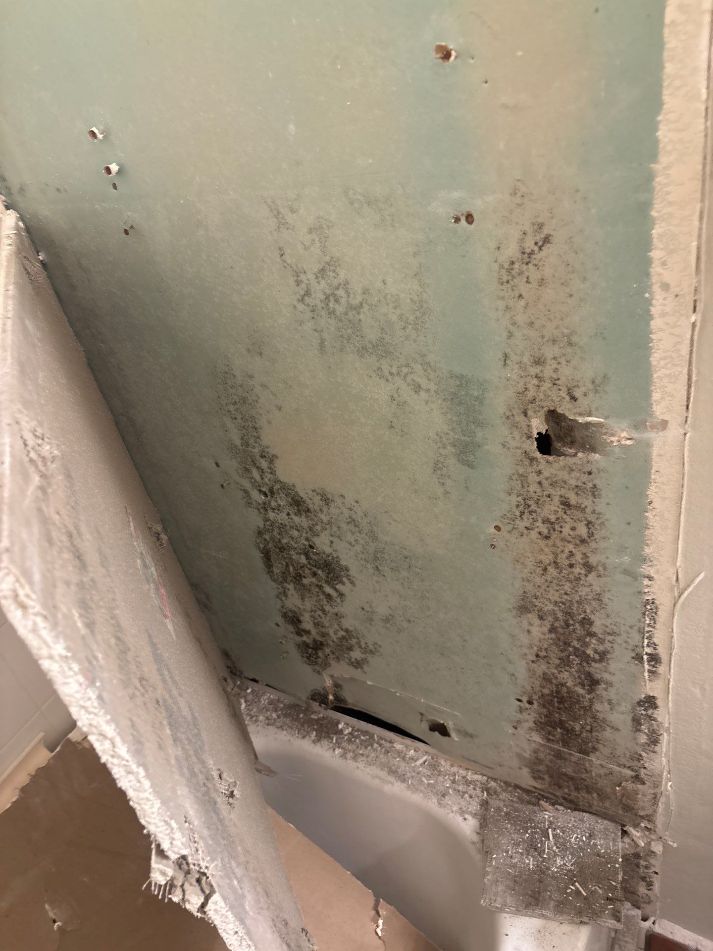Water Damage Mitigation by All Dry Services of North Austin