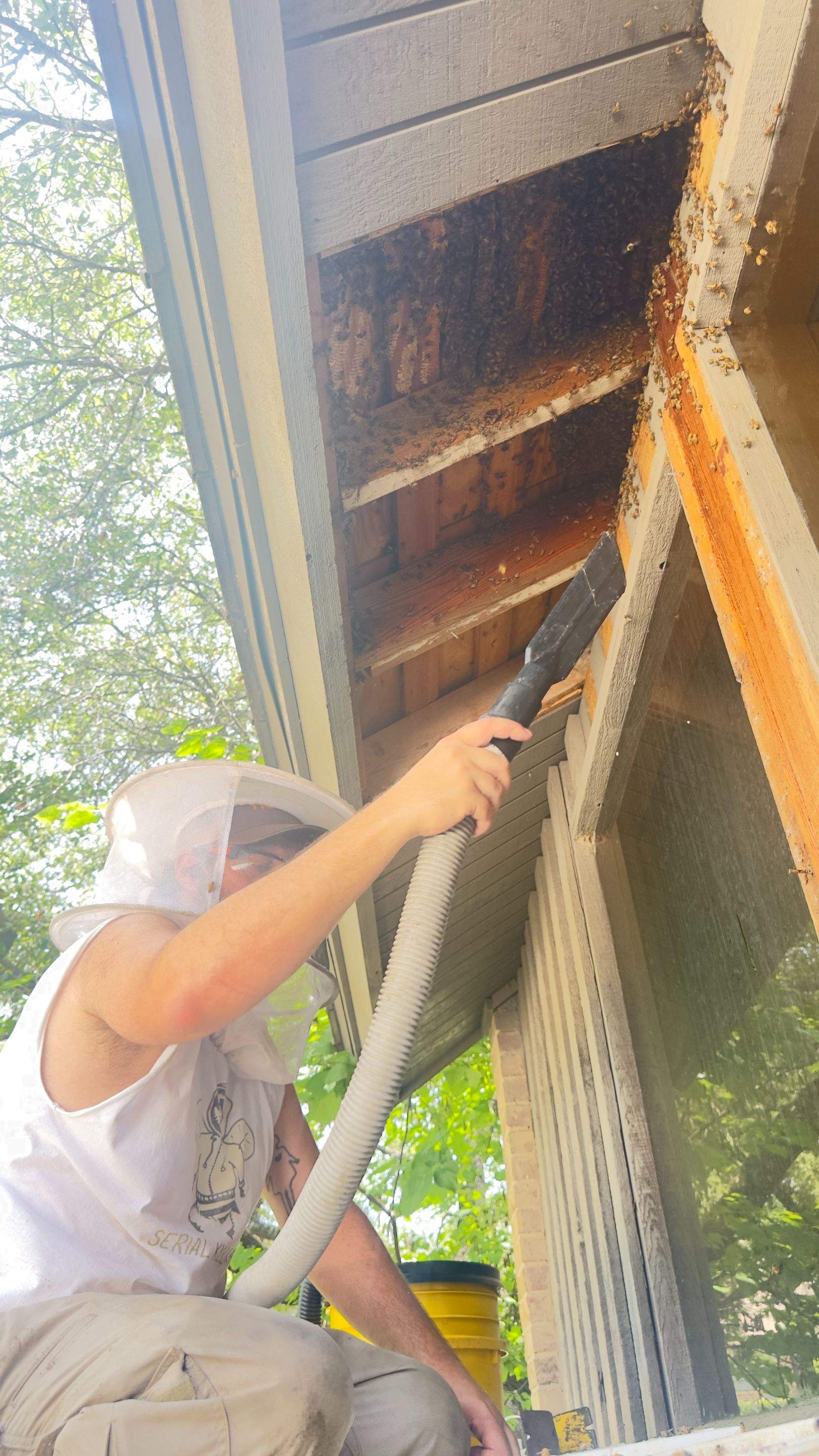 Old Faithful by Rockwall Honey Bee Company