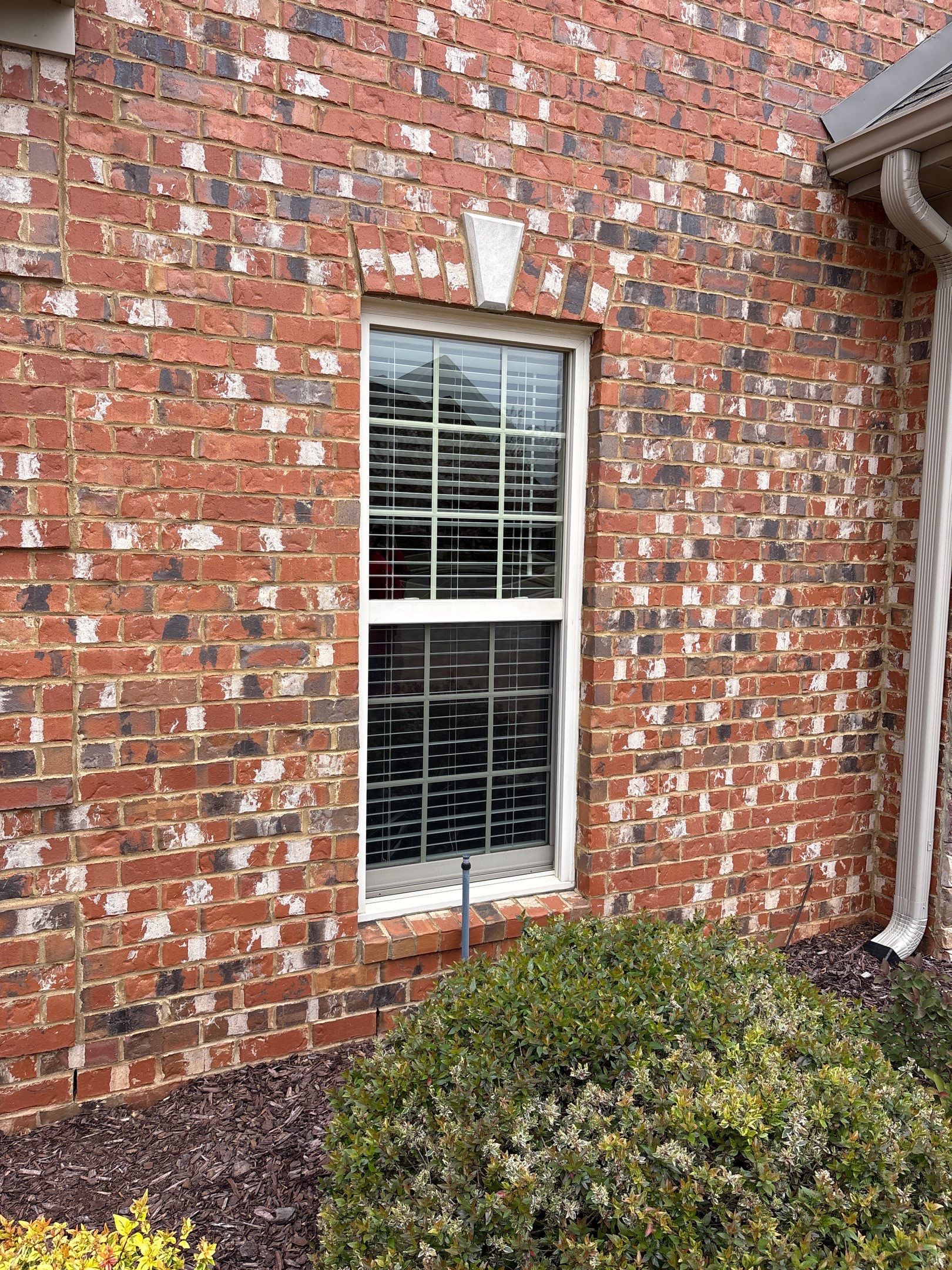 Faux Wood Blinds Project in Madison by Blinds and Borders