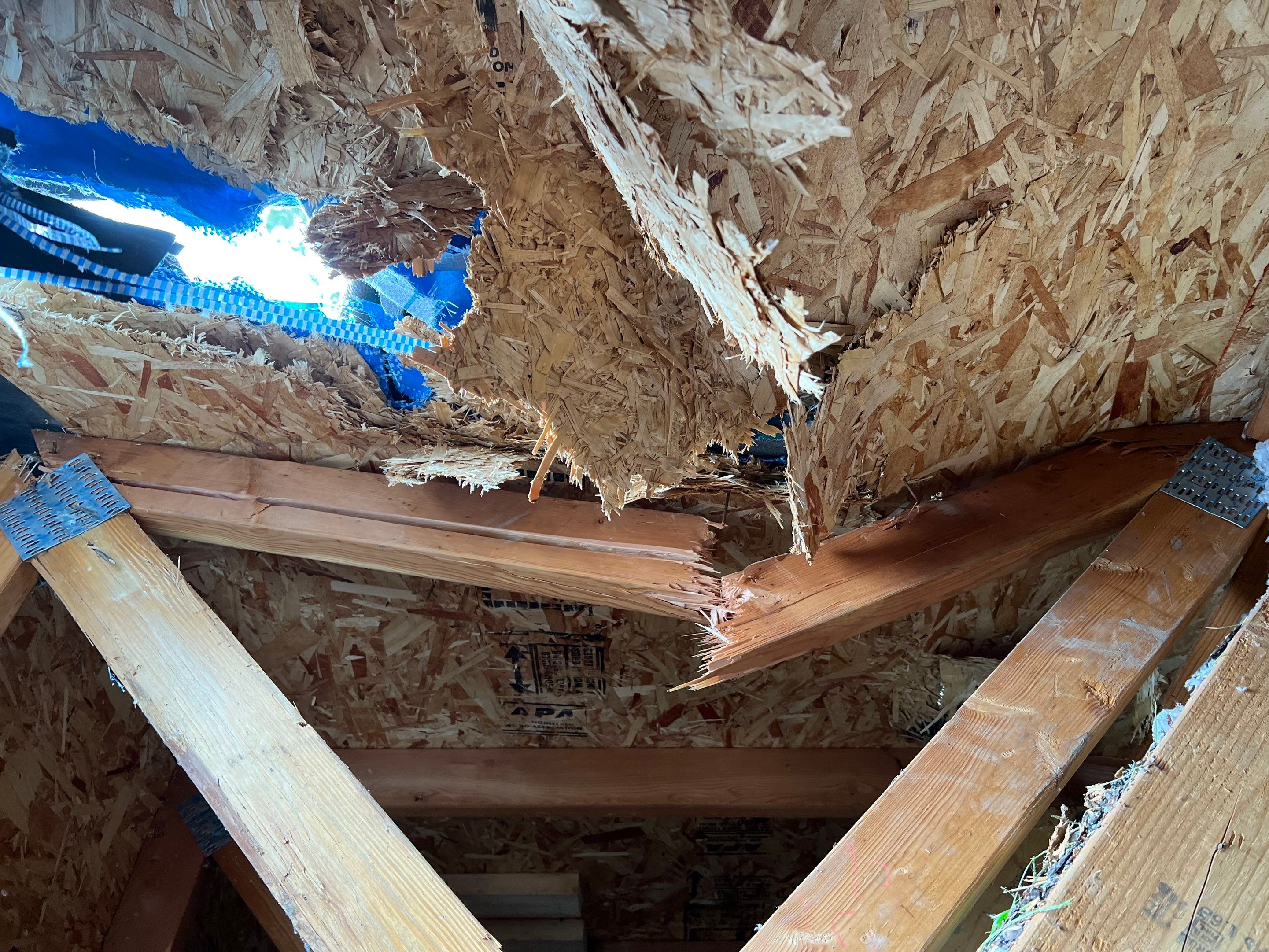 Green Snap Lock Standing Seam  by Montana Roofing Solutions