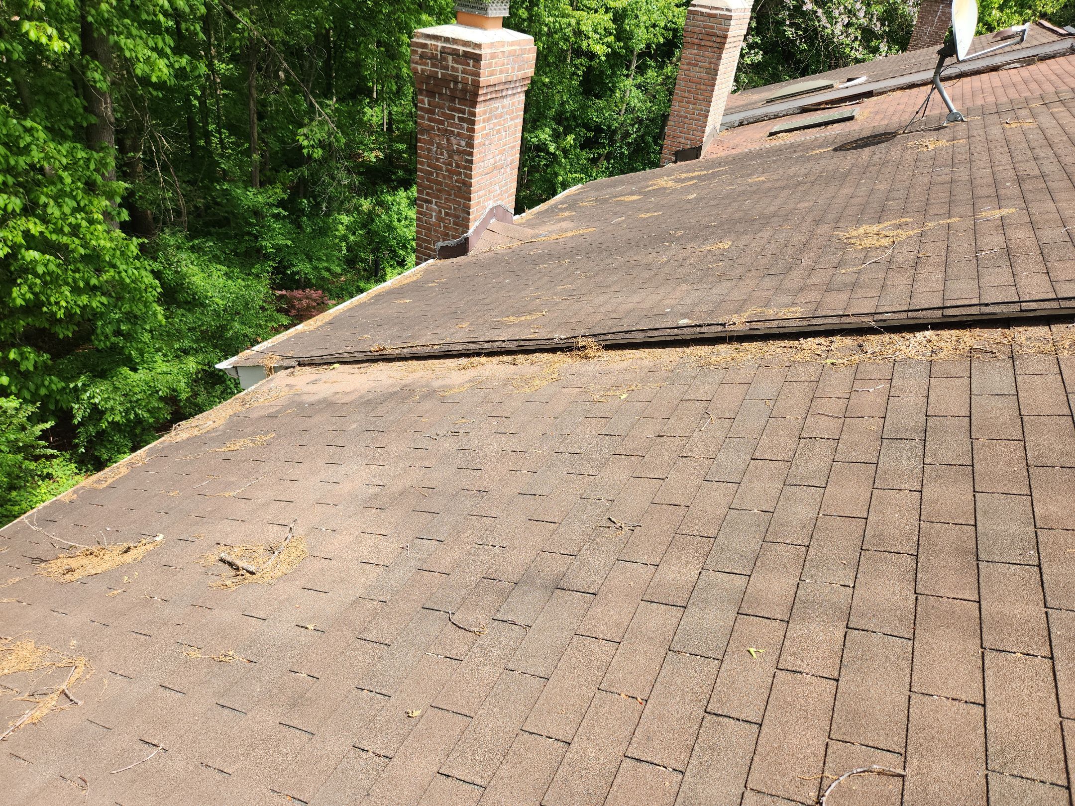 Project in Rockville by Elvis General Construction LLC