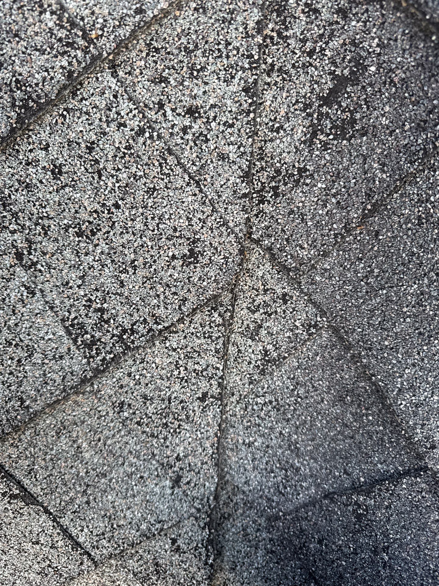 The Leppeks by United Contracting and Roofing