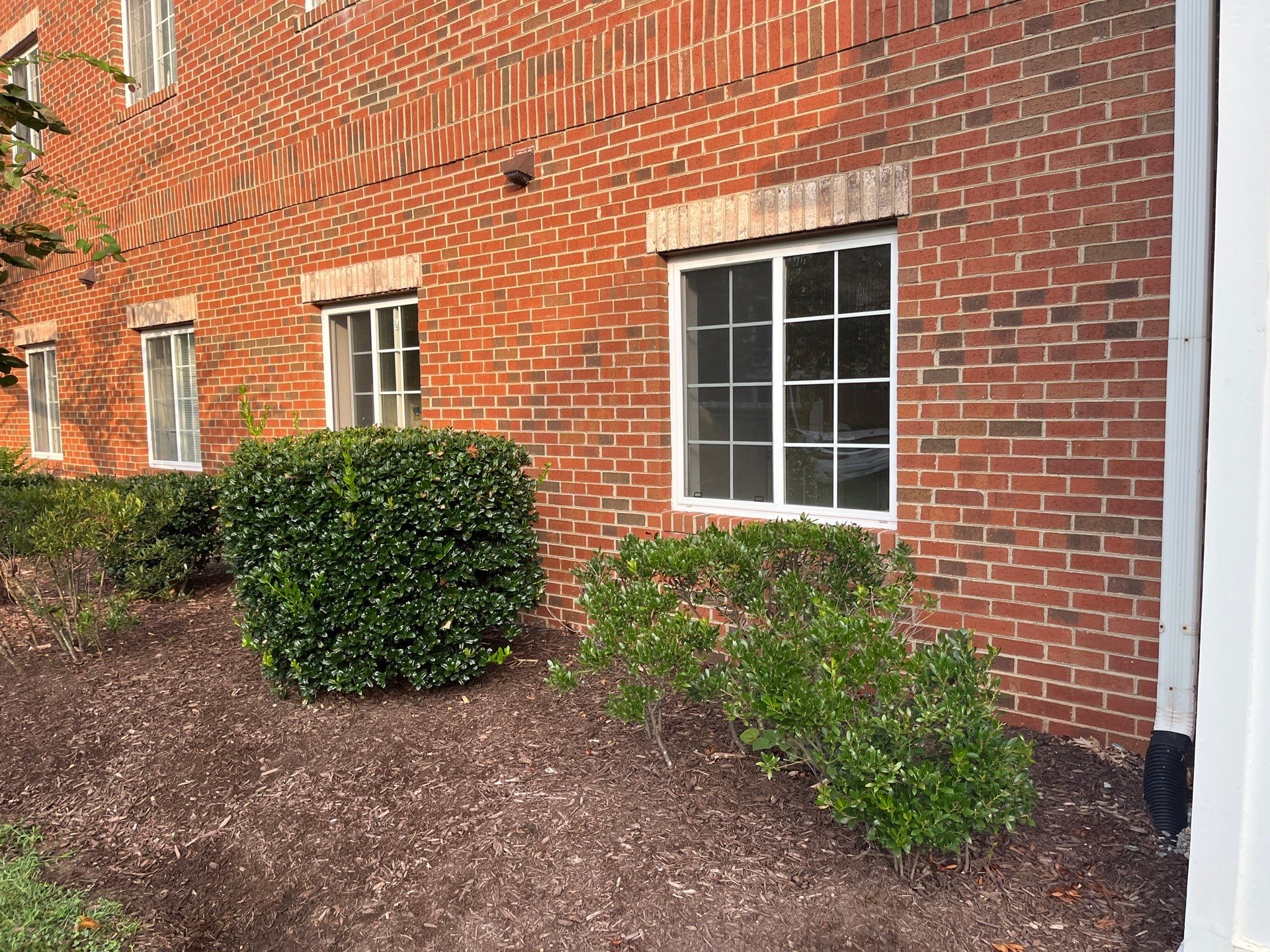 Window World of Richmond featured photo.